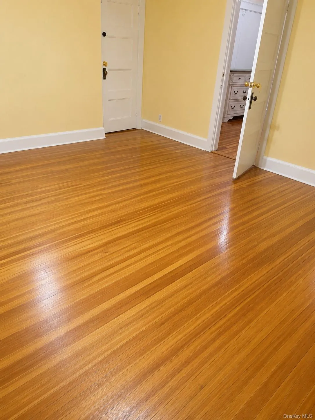 131 Lockwood Avenue, New Rochelle, NY, 2 Bedrooms Bedrooms, 4 Rooms Rooms,1 BathroomBathrooms,Residential Lease,For Rent,Lockwood,0,1025648 131 Lockwood Avenue, New Rochelle, NY, 2 Bedrooms Bedrooms, 4 Rooms Rooms,1 BathroomBathrooms,Residential Lease,For Rent,Lockwood,0,1025648