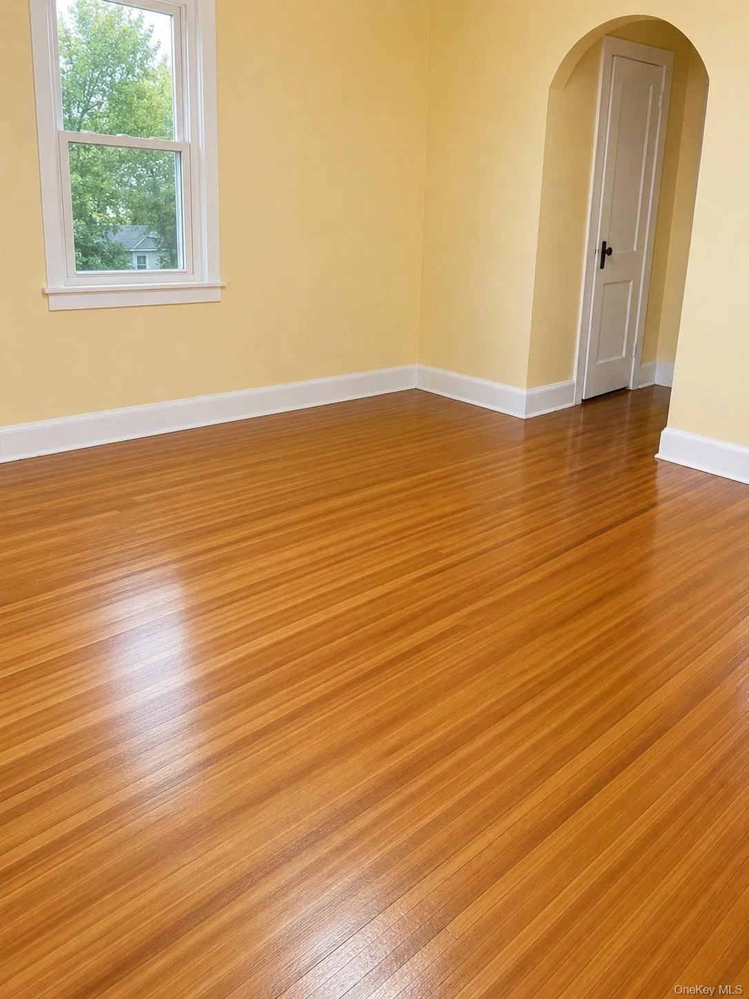 131 Lockwood Avenue, New Rochelle, NY, 2 Bedrooms Bedrooms, 4 Rooms Rooms,1 BathroomBathrooms,Residential Lease,For Rent,Lockwood,0,1025648 131 Lockwood Avenue, New Rochelle, NY, 2 Bedrooms Bedrooms, 4 Rooms Rooms,1 BathroomBathrooms,Residential Lease,For Rent,Lockwood,0,1025648