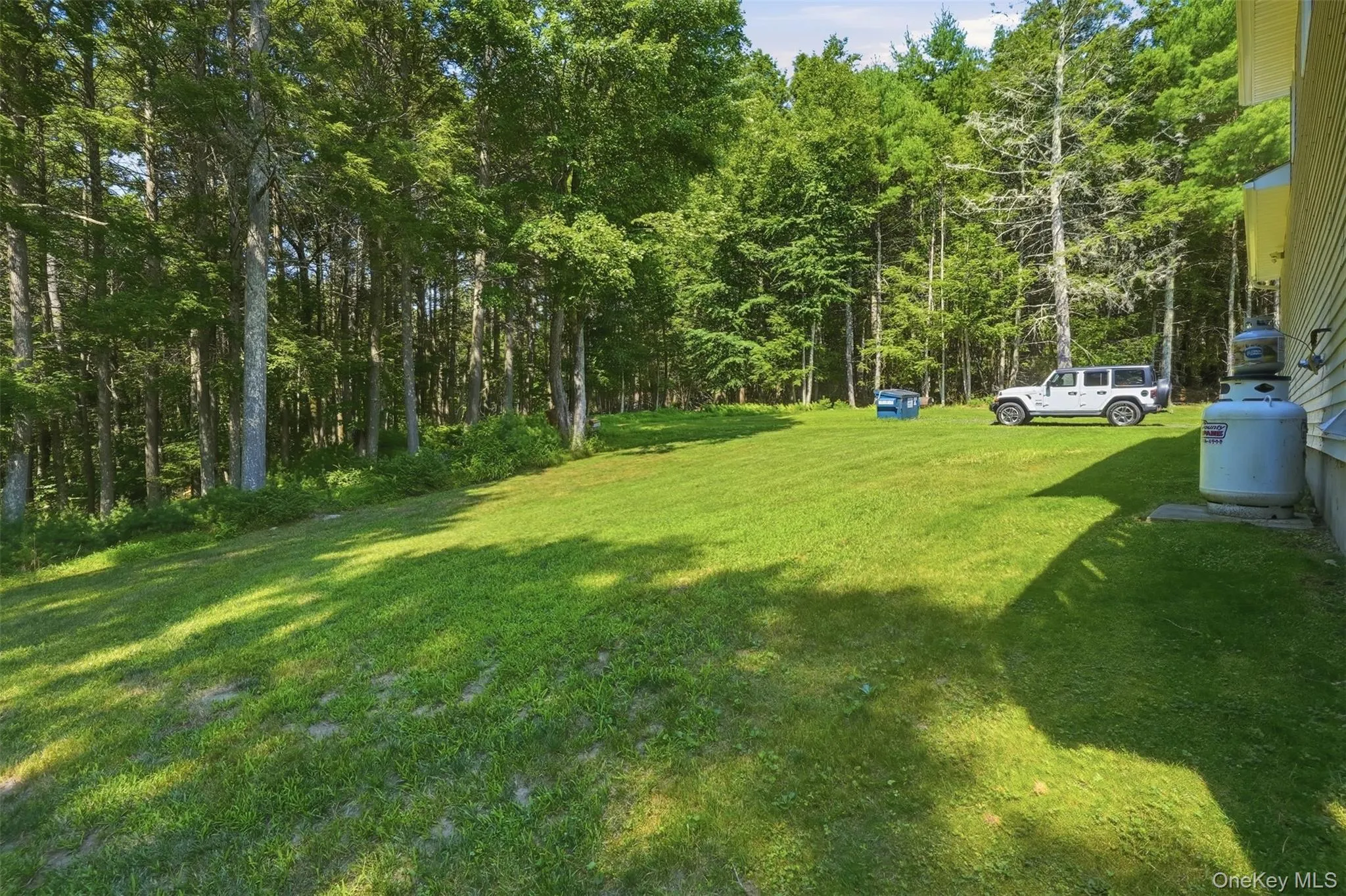 806 Peenpack Trail, Deerpark, NY, 3 Bedrooms Bedrooms, 7 Rooms Rooms,4 BathroomsBathrooms,Residential,For Rent,Peenpack,0,1025663 806 Peenpack Trail, Deerpark, NY, 3 Bedrooms Bedrooms, 7 Rooms Rooms,4 BathroomsBathrooms,Residential,For Rent,Peenpack,0,1025663