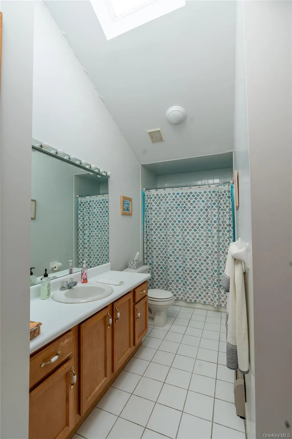 Hallway full bath with skylight Hallway full bath with skylight