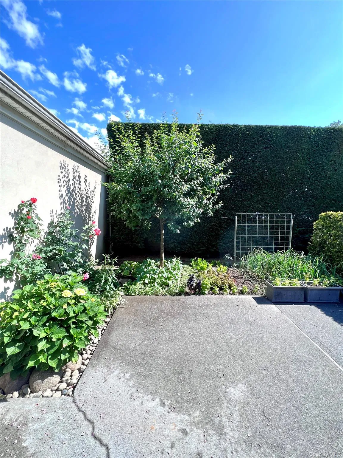 15724 20th Road, New York, NY, 3 Bedrooms Bedrooms, 8 Rooms Rooms,3 BathroomsBathrooms,Residential Lease,For Rent,20th,0,1025728 15724 20th Road, New York, NY, 3 Bedrooms Bedrooms, 8 Rooms Rooms,3 BathroomsBathrooms,Residential Lease,For Rent,20th,0,1025728