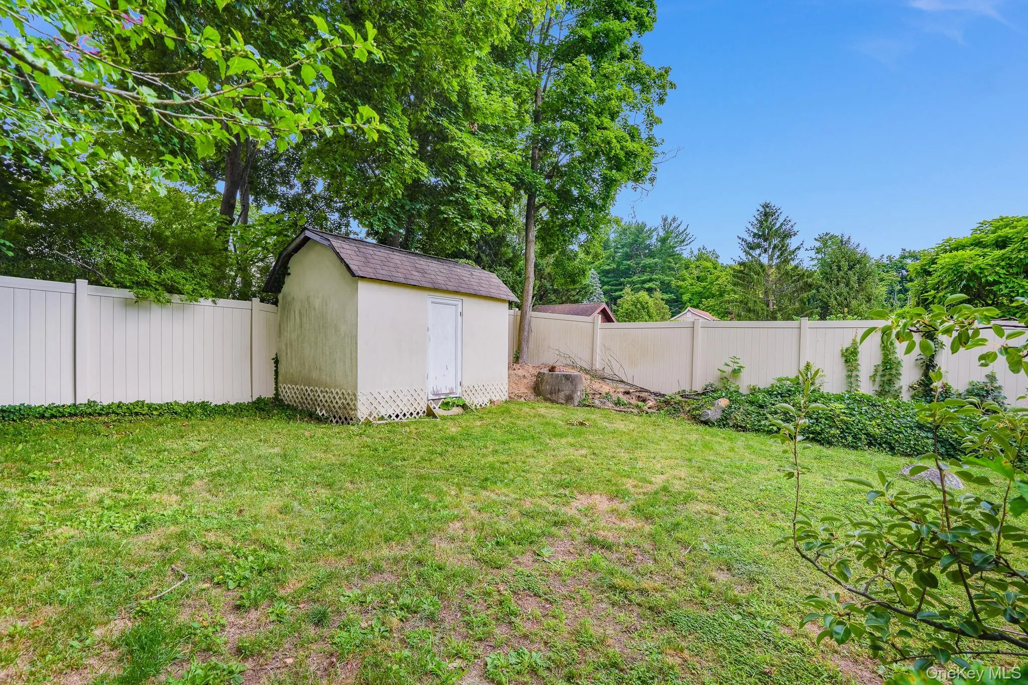 Shed in the backyard. Shed in the backyard.