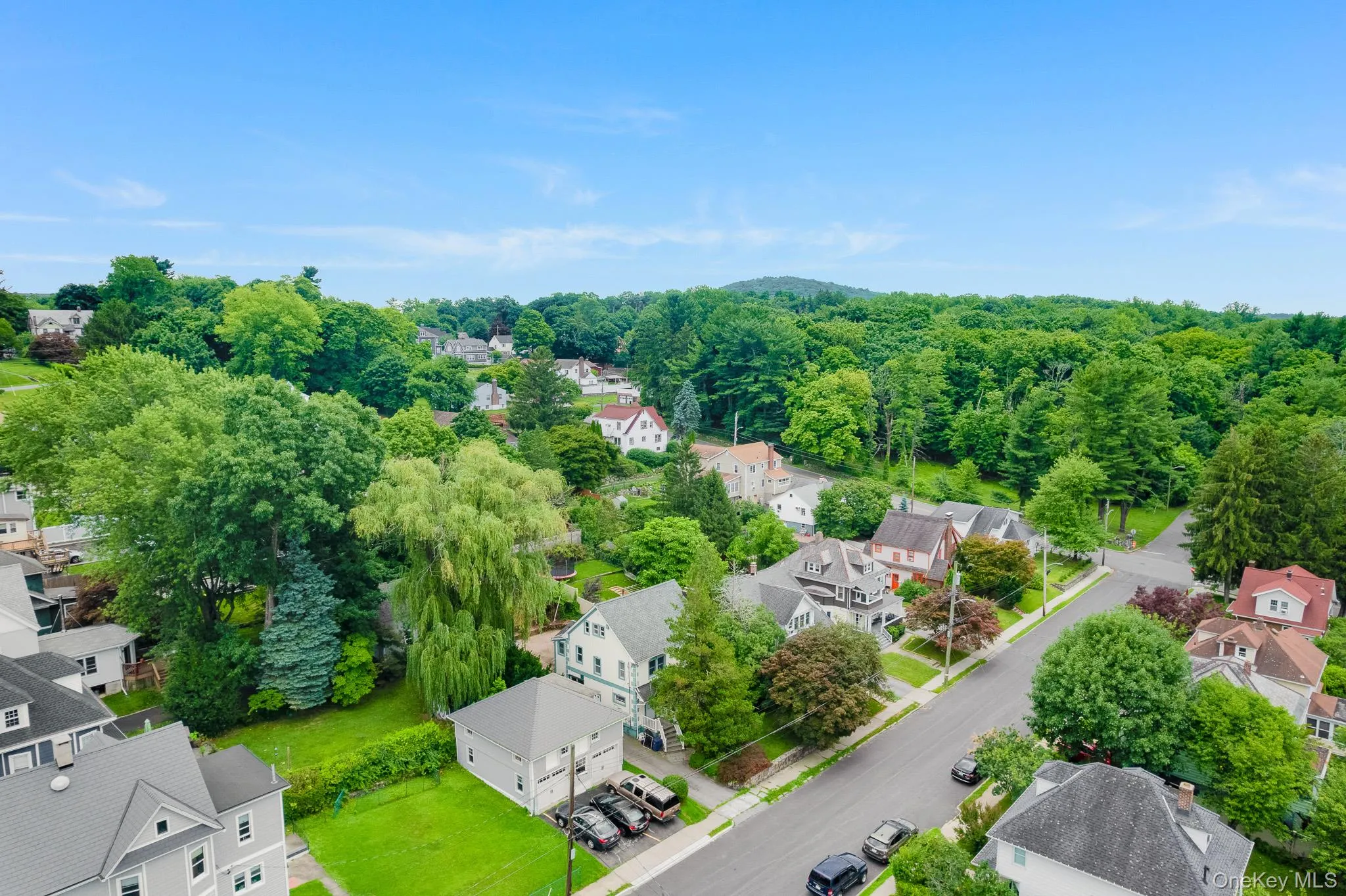 Aerial view of Pomeroy Street and Depew Park Aerial view of Pomeroy Street and Depew Park