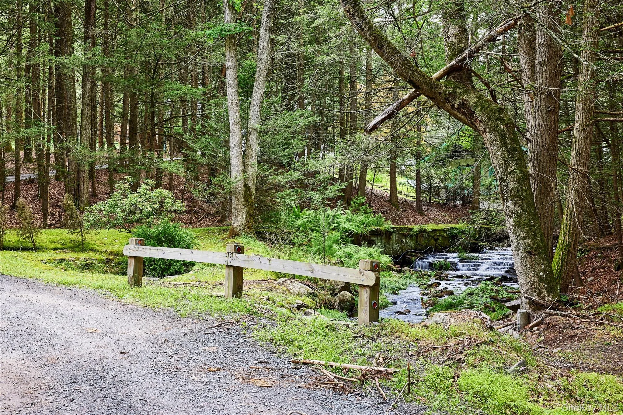488 Black Forest Road, Lumberland, NY, 2 Bedrooms Bedrooms, 6 Rooms Rooms,1 BathroomBathrooms,Residential,For Rent,Black Forest,0,1025791 488 Black Forest Road, Lumberland, NY, 2 Bedrooms Bedrooms, 6 Rooms Rooms,1 BathroomBathrooms,Residential,For Rent,Black Forest,0,1025791