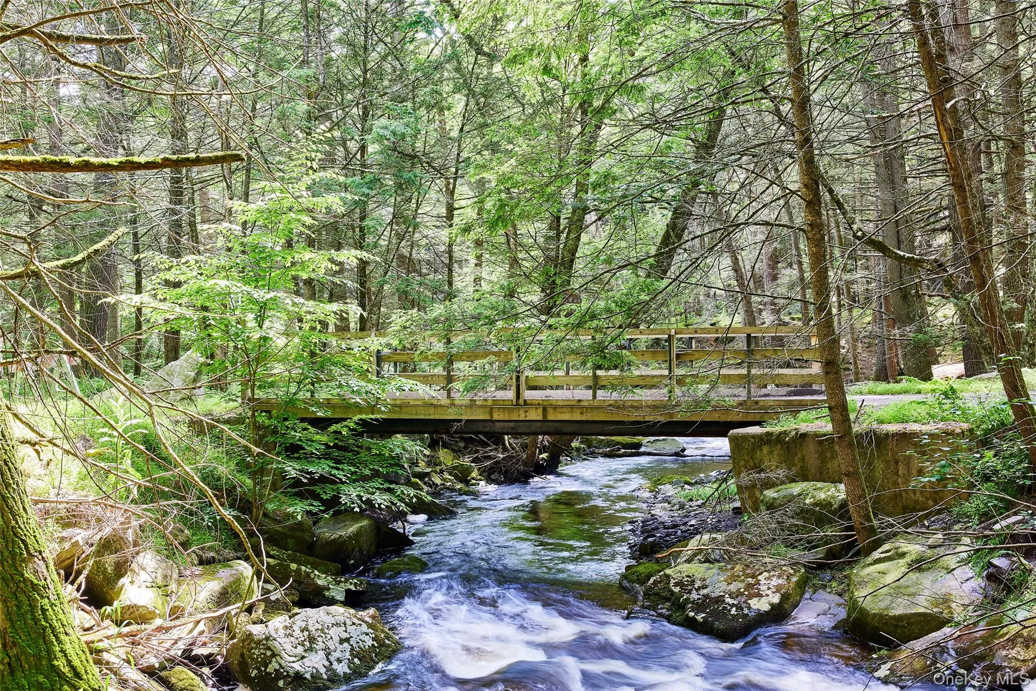 488 Black Forest Road, Lumberland, NY, 2 Bedrooms Bedrooms, 6 Rooms Rooms,1 BathroomBathrooms,Residential,For Rent,Black Forest,0,1025791 488 Black Forest Road, Lumberland, NY, 2 Bedrooms Bedrooms, 6 Rooms Rooms,1 BathroomBathrooms,Residential,For Rent,Black Forest,0,1025791
