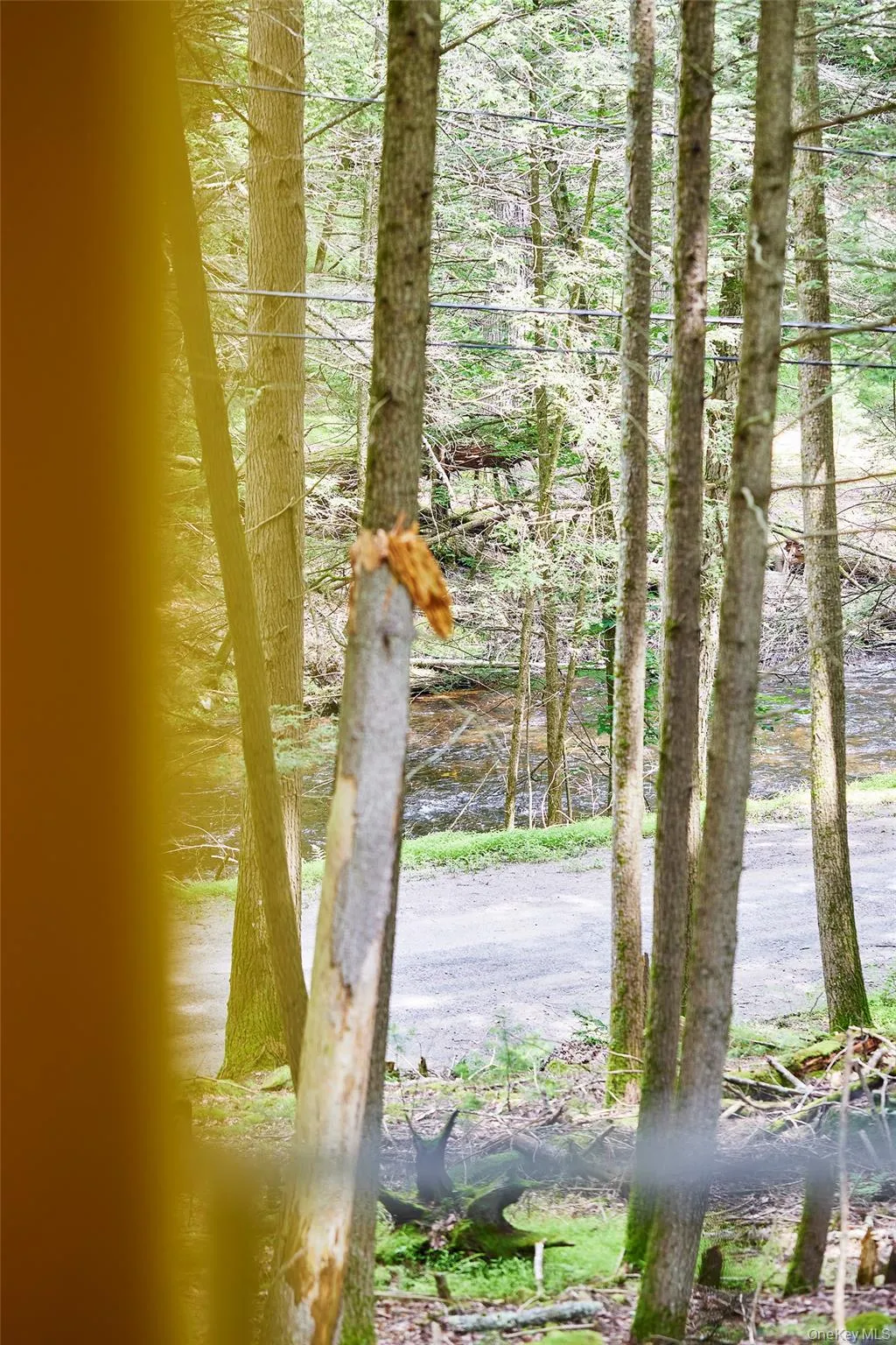 488 Black Forest Road, Lumberland, NY, 2 Bedrooms Bedrooms, 6 Rooms Rooms,1 BathroomBathrooms,Residential,For Rent,Black Forest,0,1025791 488 Black Forest Road, Lumberland, NY, 2 Bedrooms Bedrooms, 6 Rooms Rooms,1 BathroomBathrooms,Residential,For Rent,Black Forest,0,1025791
