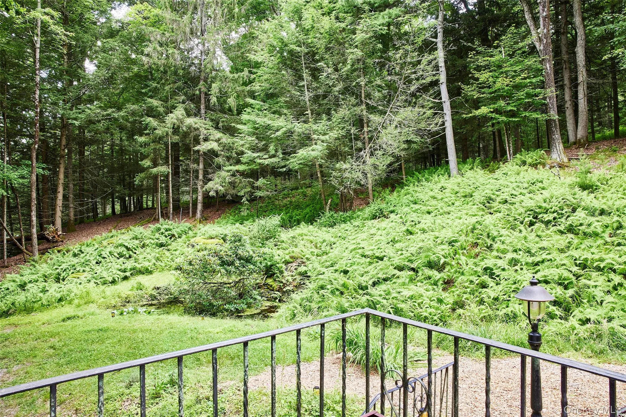 488 Black Forest Road, Lumberland, NY, 2 Bedrooms Bedrooms, 6 Rooms Rooms,1 BathroomBathrooms,Residential,For Rent,Black Forest,0,1025791 488 Black Forest Road, Lumberland, NY, 2 Bedrooms Bedrooms, 6 Rooms Rooms,1 BathroomBathrooms,Residential,For Rent,Black Forest,0,1025791