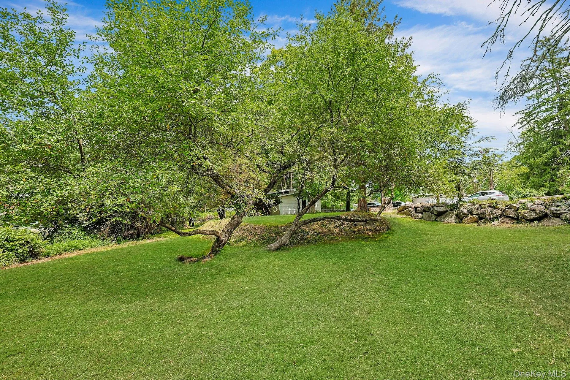 Wonderful yard with mature trees for privacy Wonderful yard with mature trees for privacy