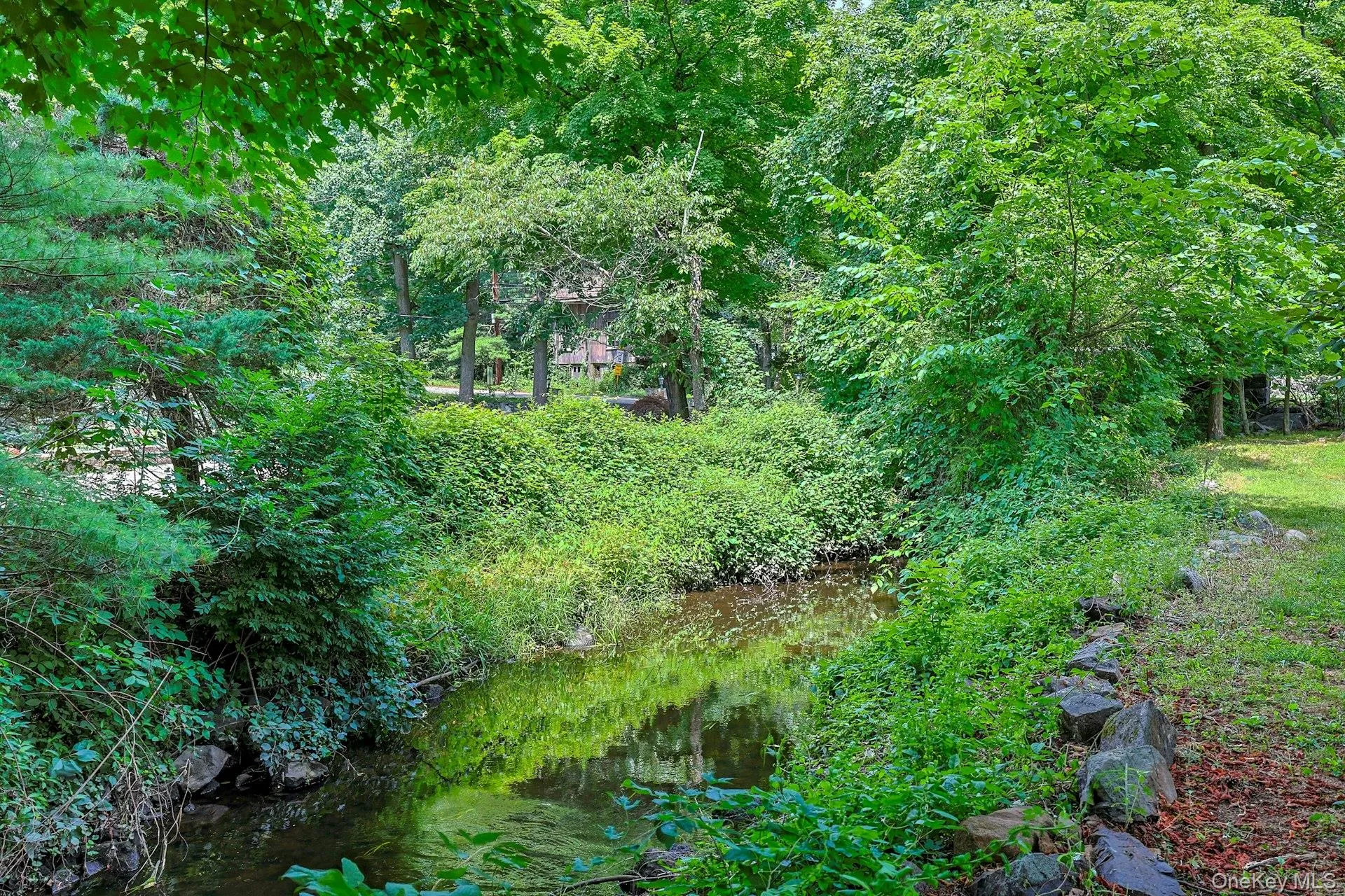 View of backyard View of backyard
