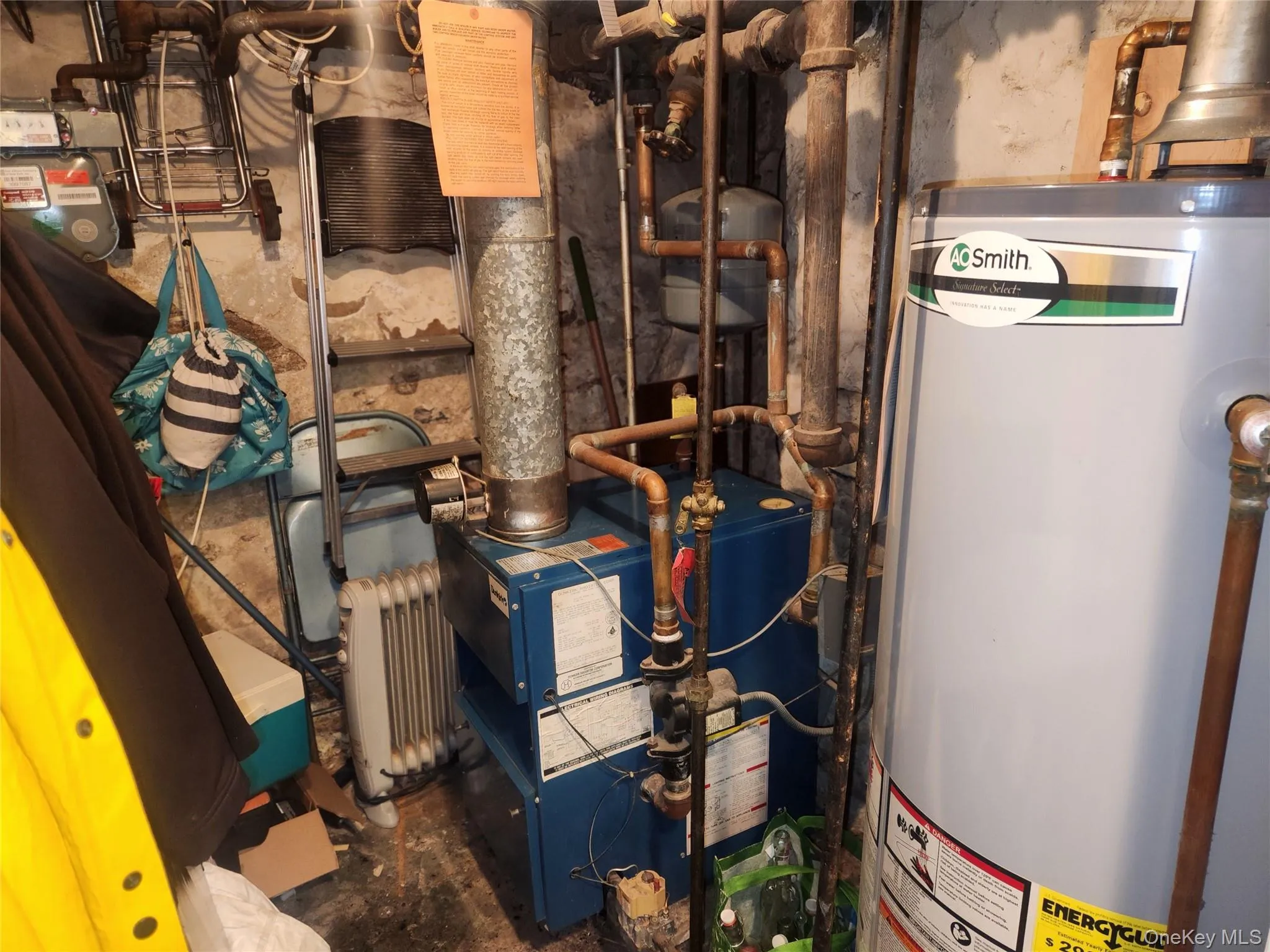 15 Rumsey Road, Yonkers, NY, 3 Bedrooms Bedrooms, 7 Rooms Rooms,2 BathroomsBathrooms,Residential,For Rent,Rumsey,0,1025815 15 Rumsey Road, Yonkers, NY, 3 Bedrooms Bedrooms, 7 Rooms Rooms,2 BathroomsBathrooms,Residential,For Rent,Rumsey,0,1025815