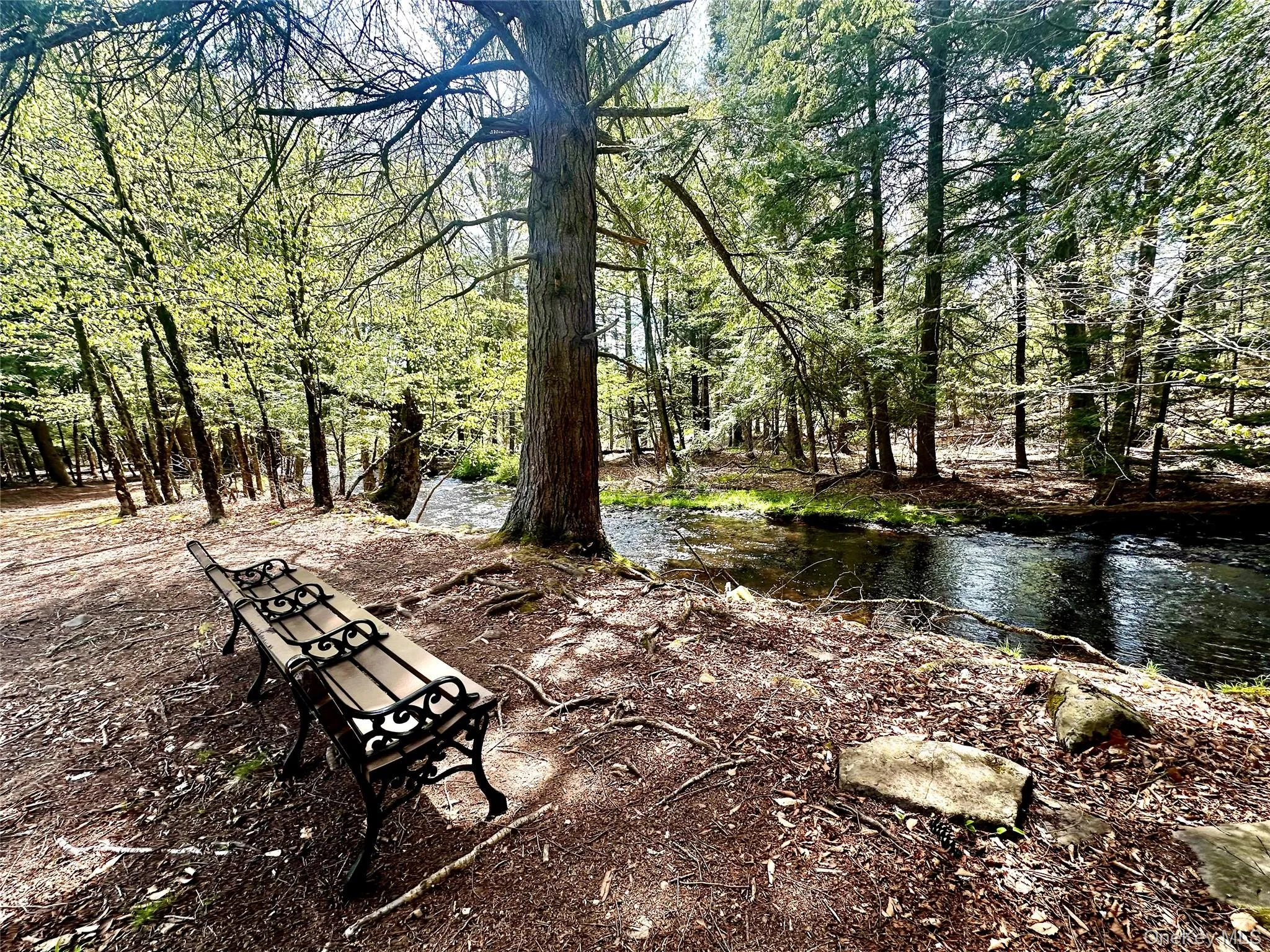 5 Liberty Place, Bethel, NY, 2 Bedrooms Bedrooms, 6 Rooms Rooms,1 BathroomBathrooms,Residential,For Rent,Liberty,0,1025829 5 Liberty Place, Bethel, NY, 2 Bedrooms Bedrooms, 6 Rooms Rooms,1 BathroomBathrooms,Residential,For Rent,Liberty,0,1025829