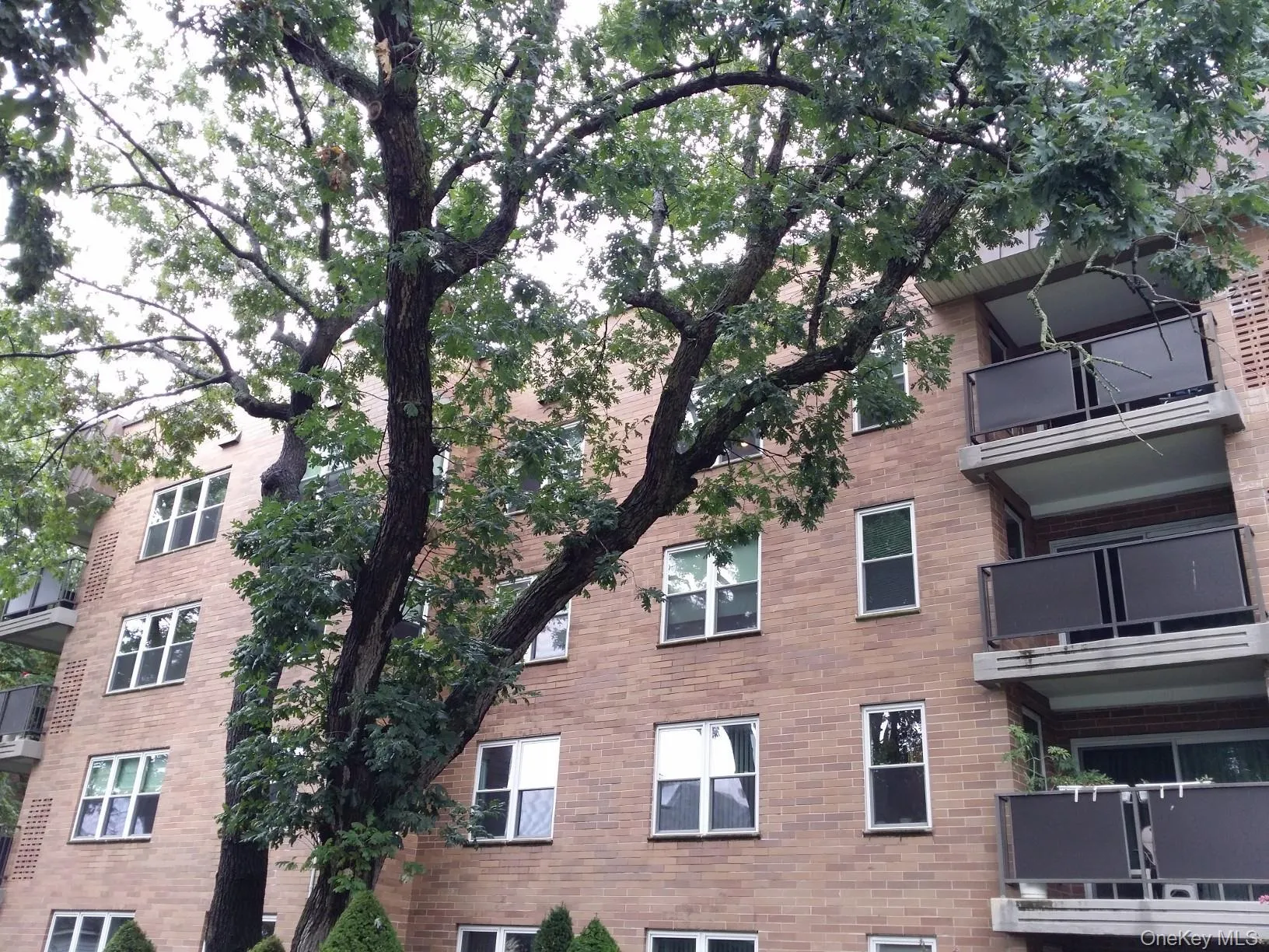 360 Central Avenue, Hempstead, NY, 1 Bedroom Bedrooms, 4 Rooms Rooms,1 BathroomBathrooms,Residential Lease,For Rent,Central,0,1025887 360 Central Avenue, Hempstead, NY, 1 Bedroom Bedrooms, 4 Rooms Rooms,1 BathroomBathrooms,Residential Lease,For Rent,Central,0,1025887