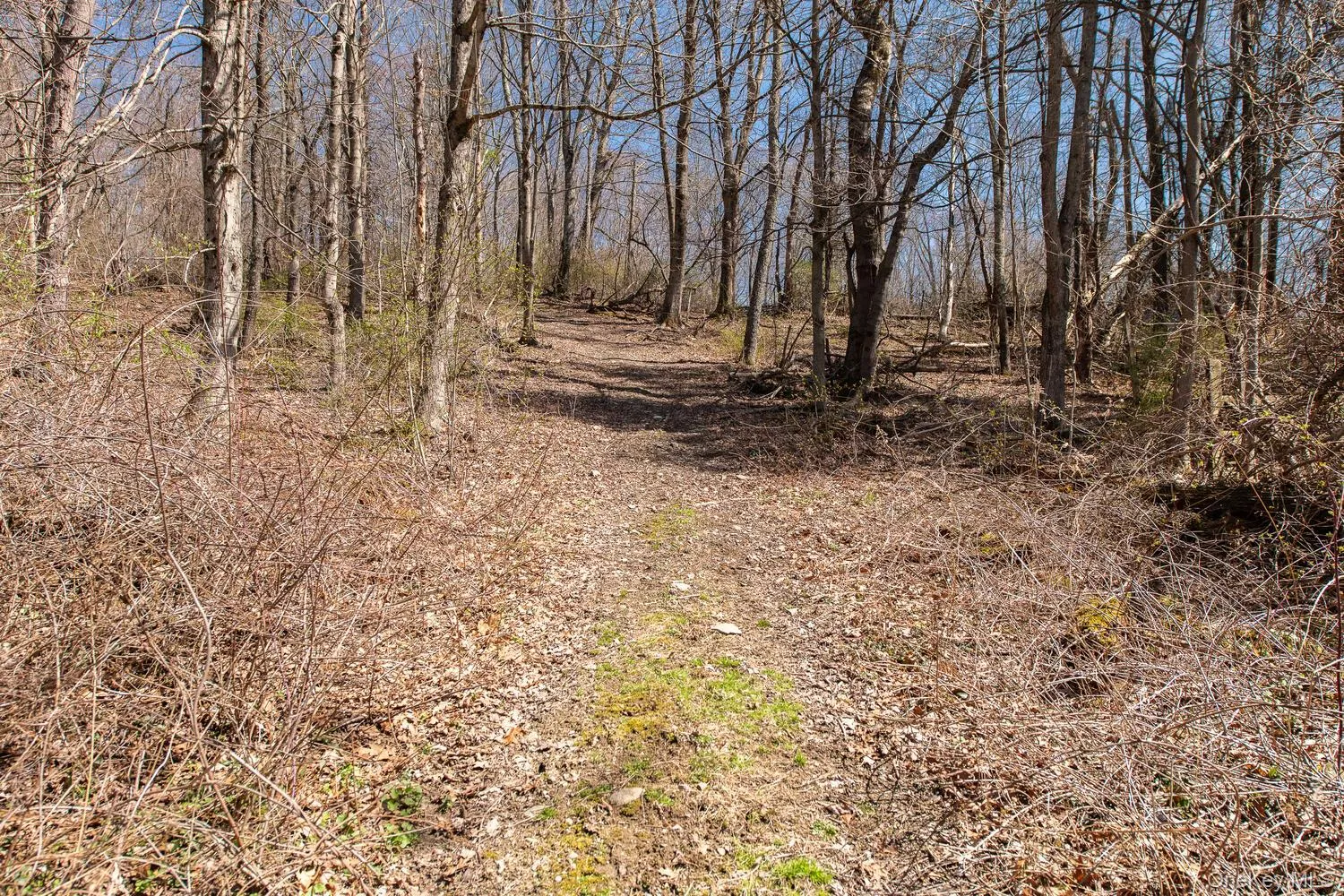 394 Smith Road, Pleasant Valley, NY, 3 Bedrooms Bedrooms, 9 Rooms Rooms,2 BathroomsBathrooms,Residential,For Rent,Smith,0,1025929 394 Smith Road, Pleasant Valley, NY, 3 Bedrooms Bedrooms, 9 Rooms Rooms,2 BathroomsBathrooms,Residential,For Rent,Smith,0,1025929