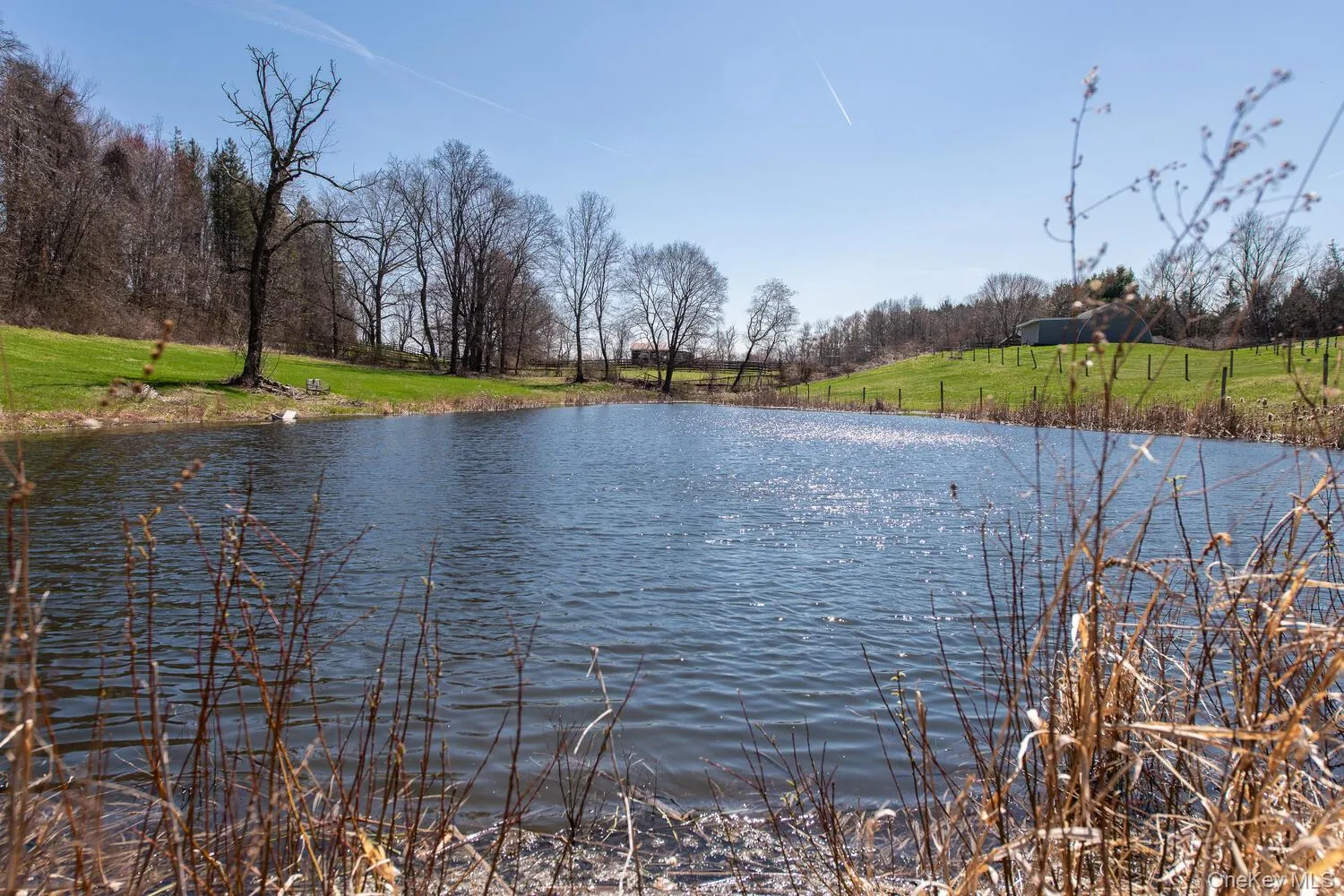 394 Smith Road, Pleasant Valley, NY, 3 Bedrooms Bedrooms, 9 Rooms Rooms,2 BathroomsBathrooms,Residential,For Rent,Smith,0,1025929 394 Smith Road, Pleasant Valley, NY, 3 Bedrooms Bedrooms, 9 Rooms Rooms,2 BathroomsBathrooms,Residential,For Rent,Smith,0,1025929