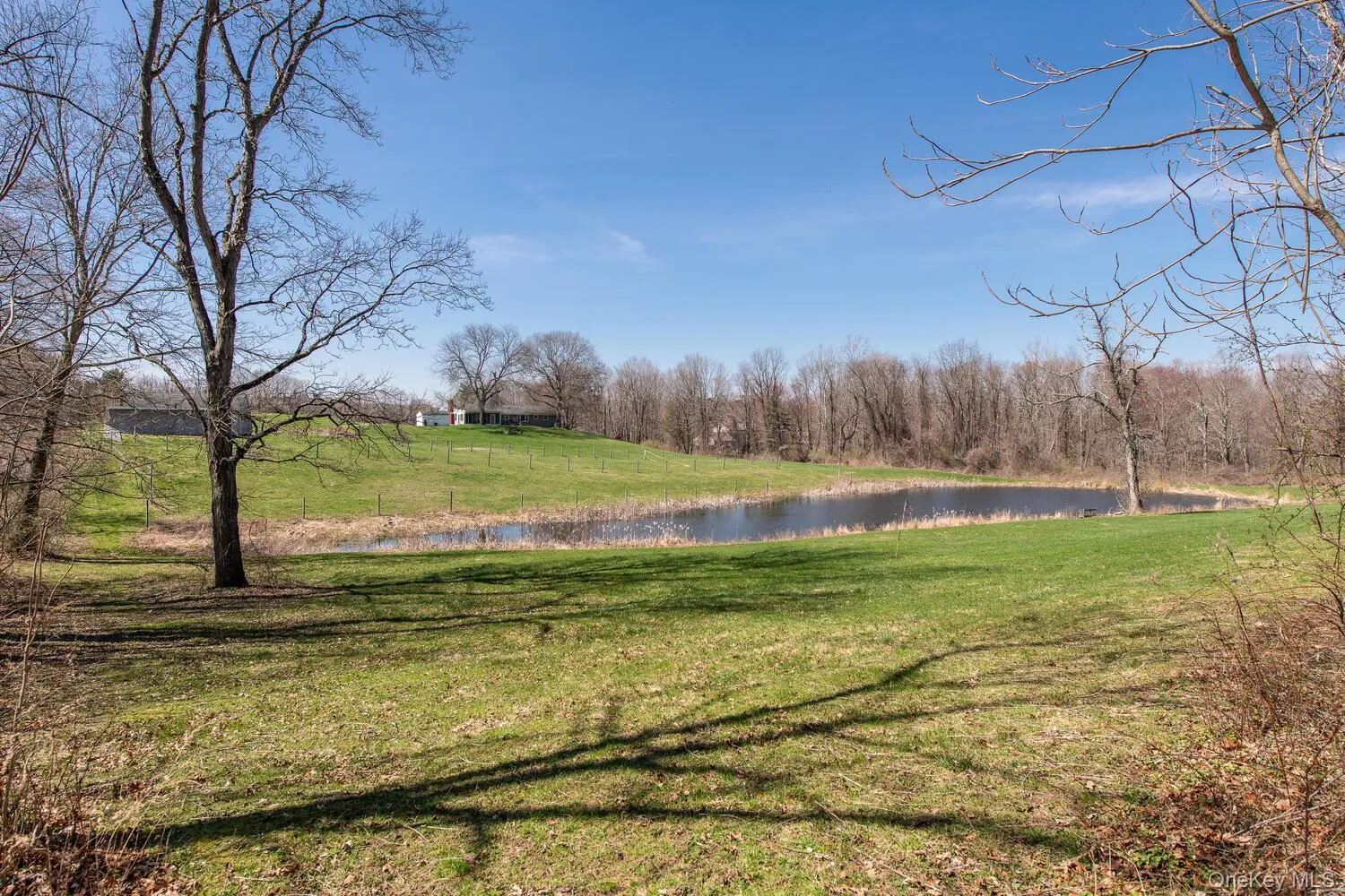 394 Smith Road, Pleasant Valley, NY, 3 Bedrooms Bedrooms, 9 Rooms Rooms,2 BathroomsBathrooms,Residential,For Rent,Smith,0,1025929 394 Smith Road, Pleasant Valley, NY, 3 Bedrooms Bedrooms, 9 Rooms Rooms,2 BathroomsBathrooms,Residential,For Rent,Smith,0,1025929