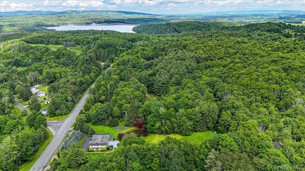 Overlooking Neversink Reservoir Overlooking Neversink Reservoir