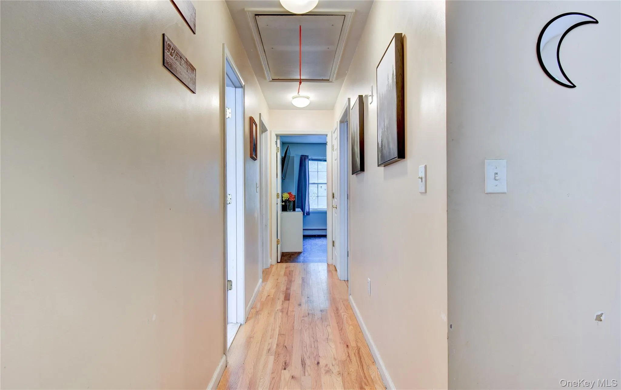 Hardwood floors! Hardwood floors!