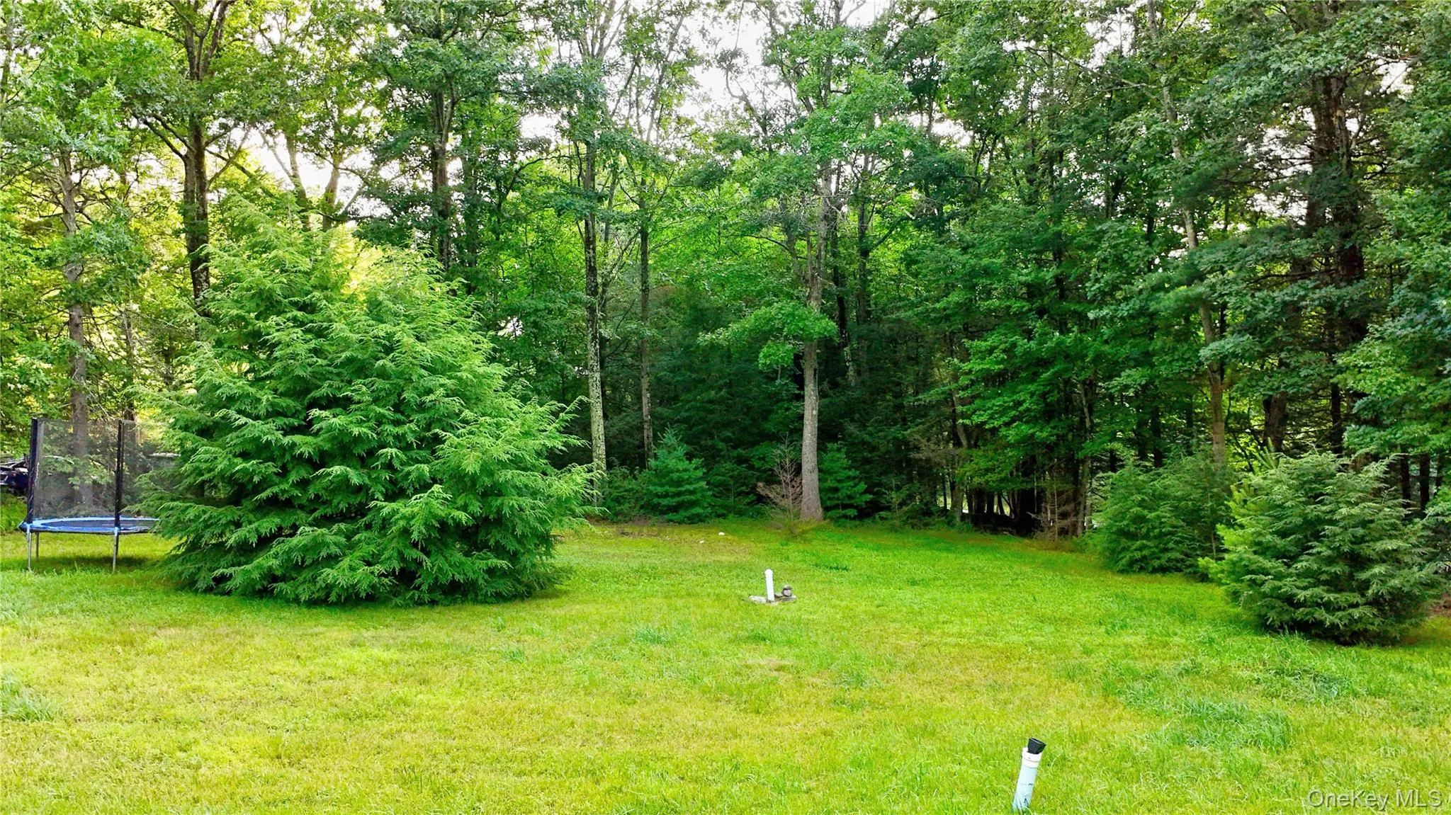 168 Dunn Town Road, Mamakating, NY, 3 Bedrooms Bedrooms, 8 Rooms Rooms,3 BathroomsBathrooms,Residential,For Rent,Dunn Town,0,1025969 168 Dunn Town Road, Mamakating, NY, 3 Bedrooms Bedrooms, 8 Rooms Rooms,3 BathroomsBathrooms,Residential,For Rent,Dunn Town,0,1025969