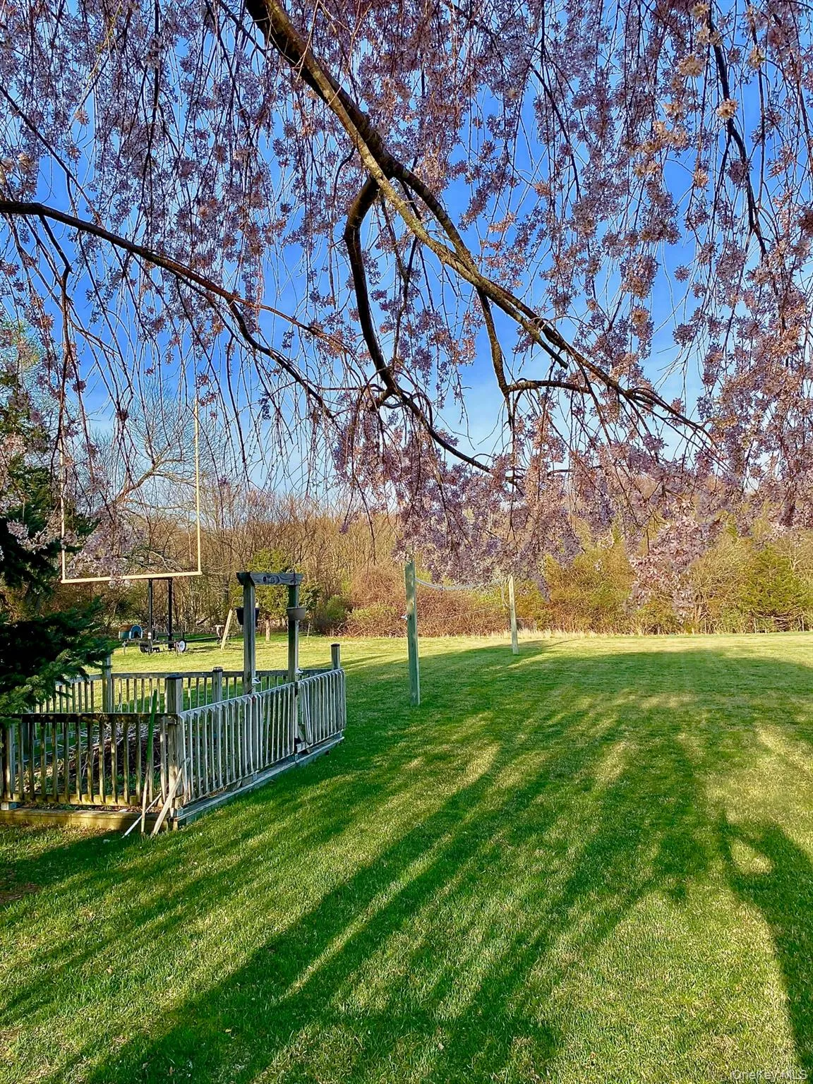 158 South Street, Brookhaven, NY, 5 Bedrooms Bedrooms, 11 Rooms Rooms,4 BathroomsBathrooms,Residential,For Rent,South,0,1026027 158 South Street, Brookhaven, NY, 5 Bedrooms Bedrooms, 11 Rooms Rooms,4 BathroomsBathrooms,Residential,For Rent,South,0,1026027