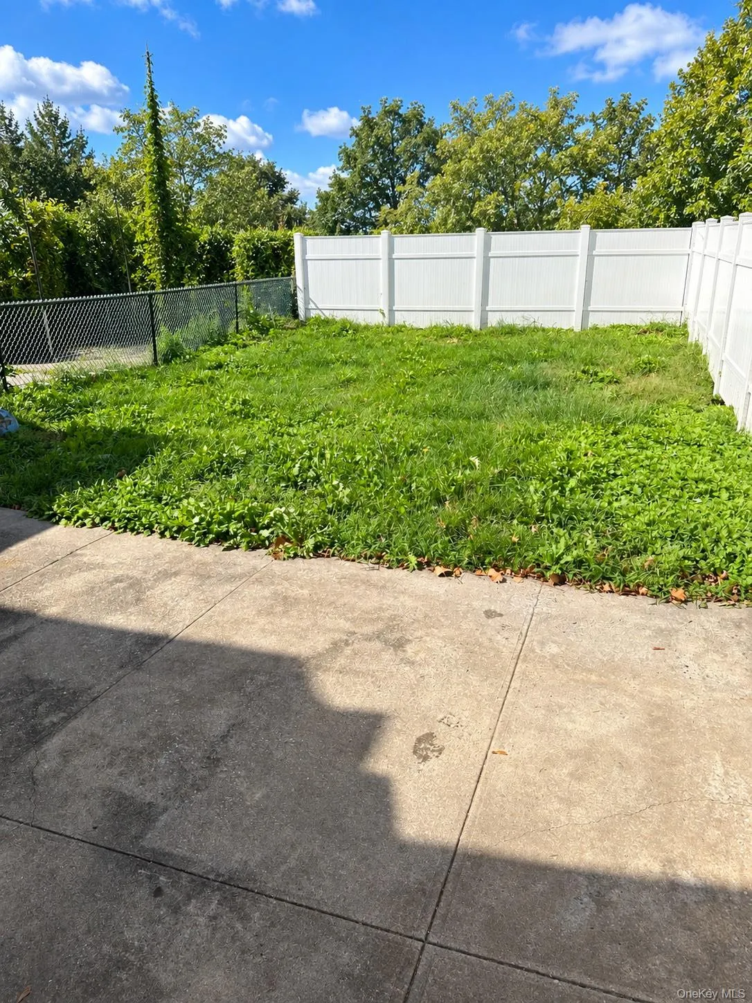 1519 Gillespie Avenue, New York, NY, 1 Bedroom Bedrooms, 3 Rooms Rooms,1 BathroomBathrooms,Residential,For Rent,Gillespie,0,1026036 1519 Gillespie Avenue, New York, NY, 1 Bedroom Bedrooms, 3 Rooms Rooms,1 BathroomBathrooms,Residential,For Rent,Gillespie,0,1026036