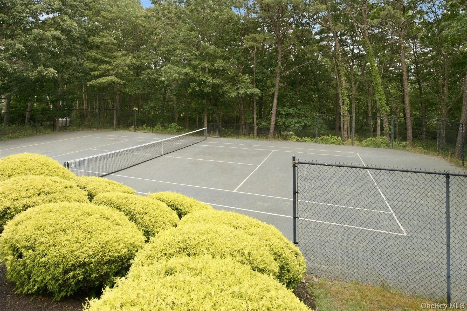 90 Lakeside Lane, Southampton, NY, 4 Bedrooms Bedrooms, 9 Rooms Rooms,3 BathroomsBathrooms,Residential,For Rent,Lakeside,0,1026057 90 Lakeside Lane, Southampton, NY, 4 Bedrooms Bedrooms, 9 Rooms Rooms,3 BathroomsBathrooms,Residential,For Rent,Lakeside,0,1026057