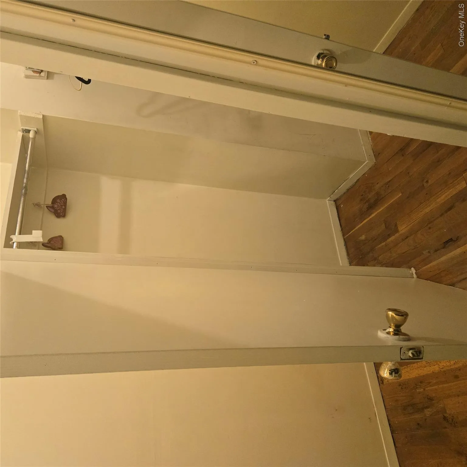 392 New Jersey Avenue, New York, NY, 3 Bedrooms Bedrooms, 6 Rooms Rooms,1 BathroomBathrooms,Residential,For Rent,New Jersey,0,1026071 392 New Jersey Avenue, New York, NY, 3 Bedrooms Bedrooms, 6 Rooms Rooms,1 BathroomBathrooms,Residential,For Rent,New Jersey,0,1026071
