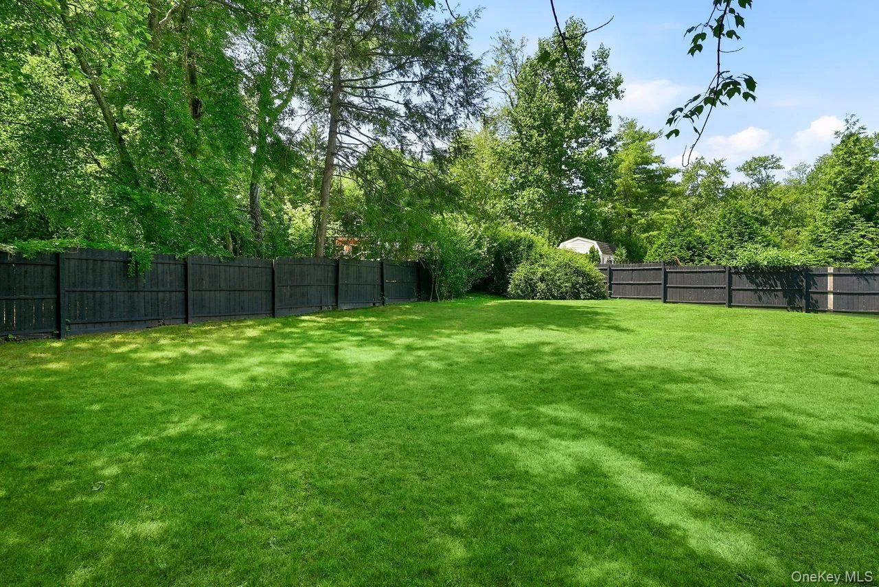 Fenced in yard Fenced in yard