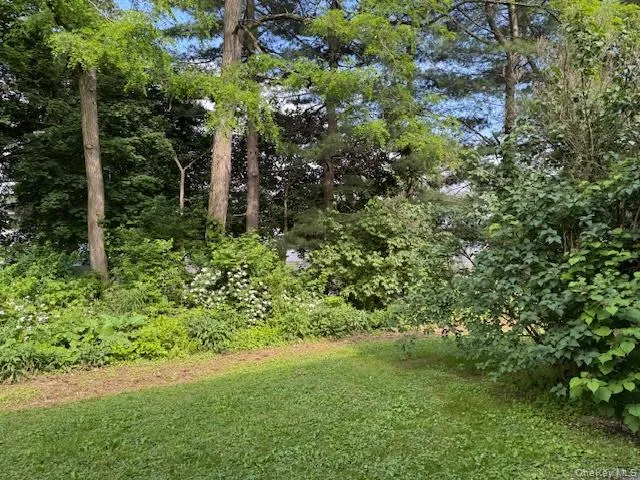 View of the backyard View of the backyard
