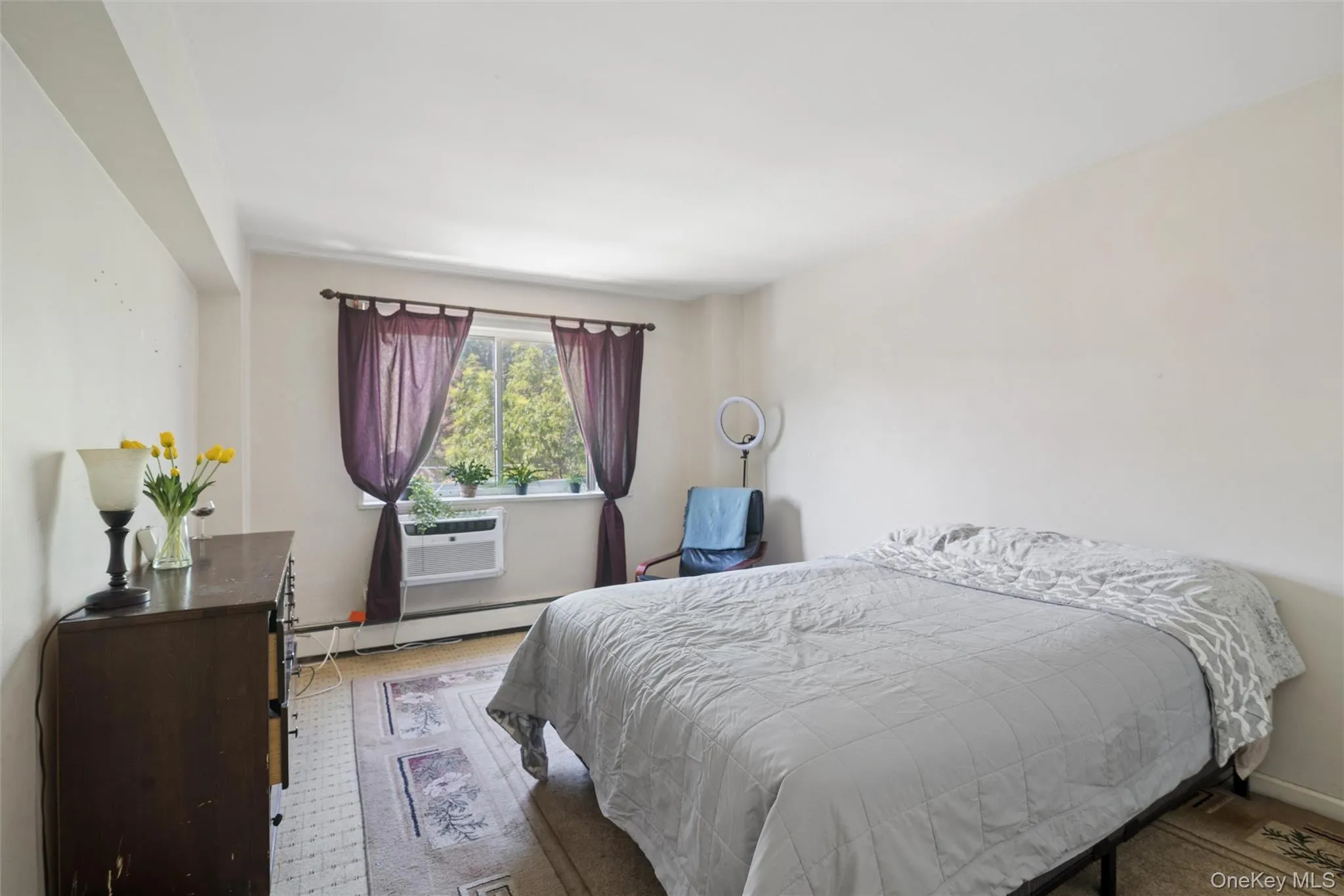101 Clinton Avenue, North Hempstead, NY, 1 Bedroom Bedrooms, 4 Rooms Rooms,1 BathroomBathrooms,Residential,For Rent,Clinton,0,1026120 101 Clinton Avenue, North Hempstead, NY, 1 Bedroom Bedrooms, 4 Rooms Rooms,1 BathroomBathrooms,Residential,For Rent,Clinton,0,1026120