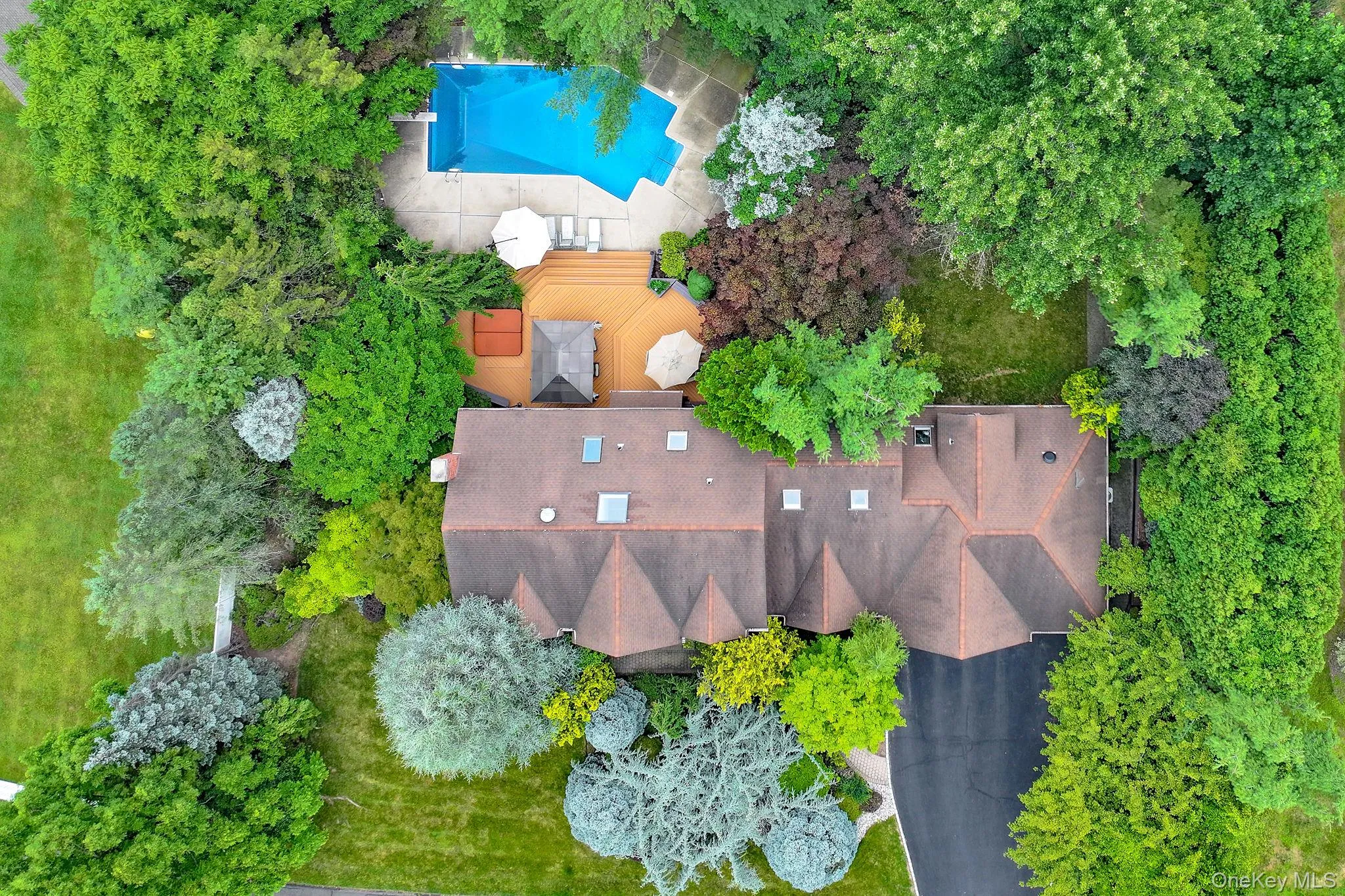 17 Snowdrop Drive, Clarkstown, NY, 5 Bedrooms Bedrooms, 20 Rooms Rooms,3 BathroomsBathrooms,Residential,For Rent,Snowdrop,0,1026138 17 Snowdrop Drive, Clarkstown, NY, 5 Bedrooms Bedrooms, 20 Rooms Rooms,3 BathroomsBathrooms,Residential,For Rent,Snowdrop,0,1026138