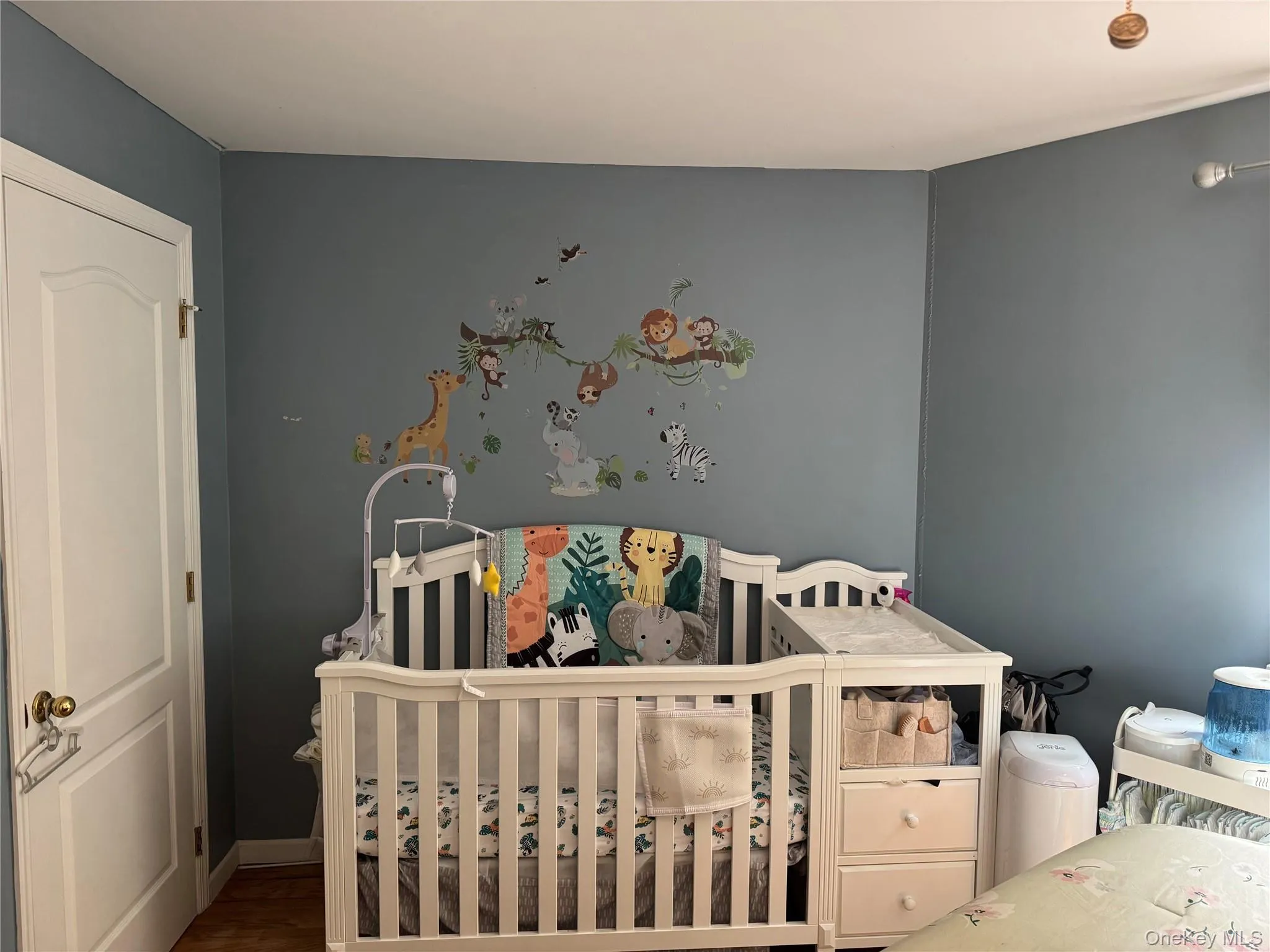Interior room featuring a white paneled door, light blue walls, white baseboards, and wood-finish flooring Interior room featuring a white paneled door, light blue walls, white baseboards, and wood-finish flooring