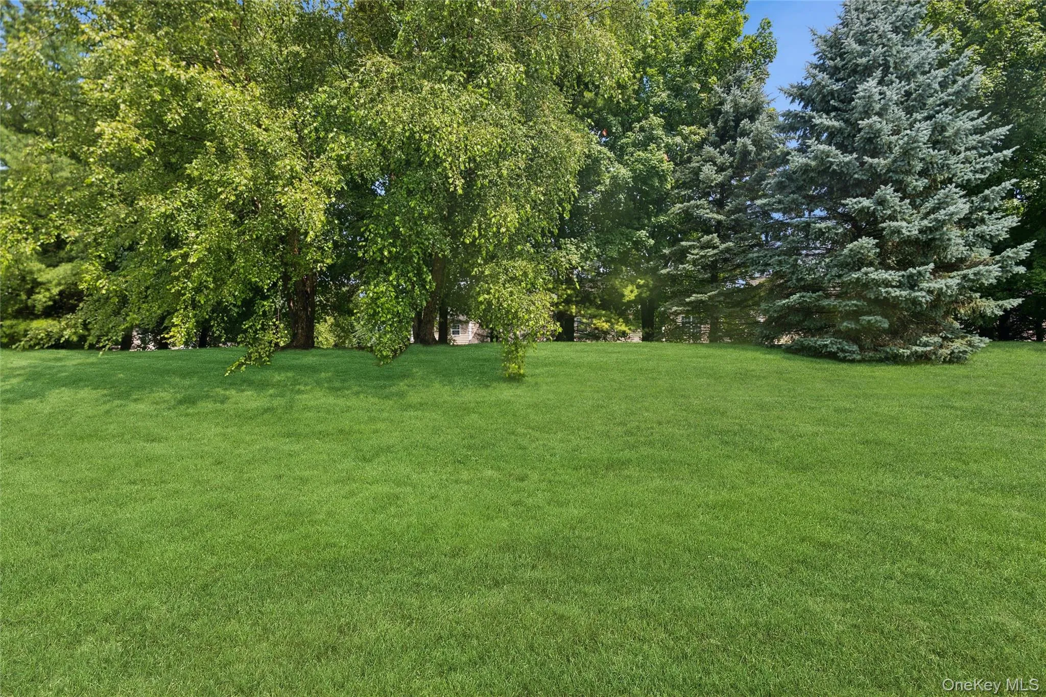 Looking out from you Patio. Rear Yard View Looking out from you Patio. Rear Yard View
