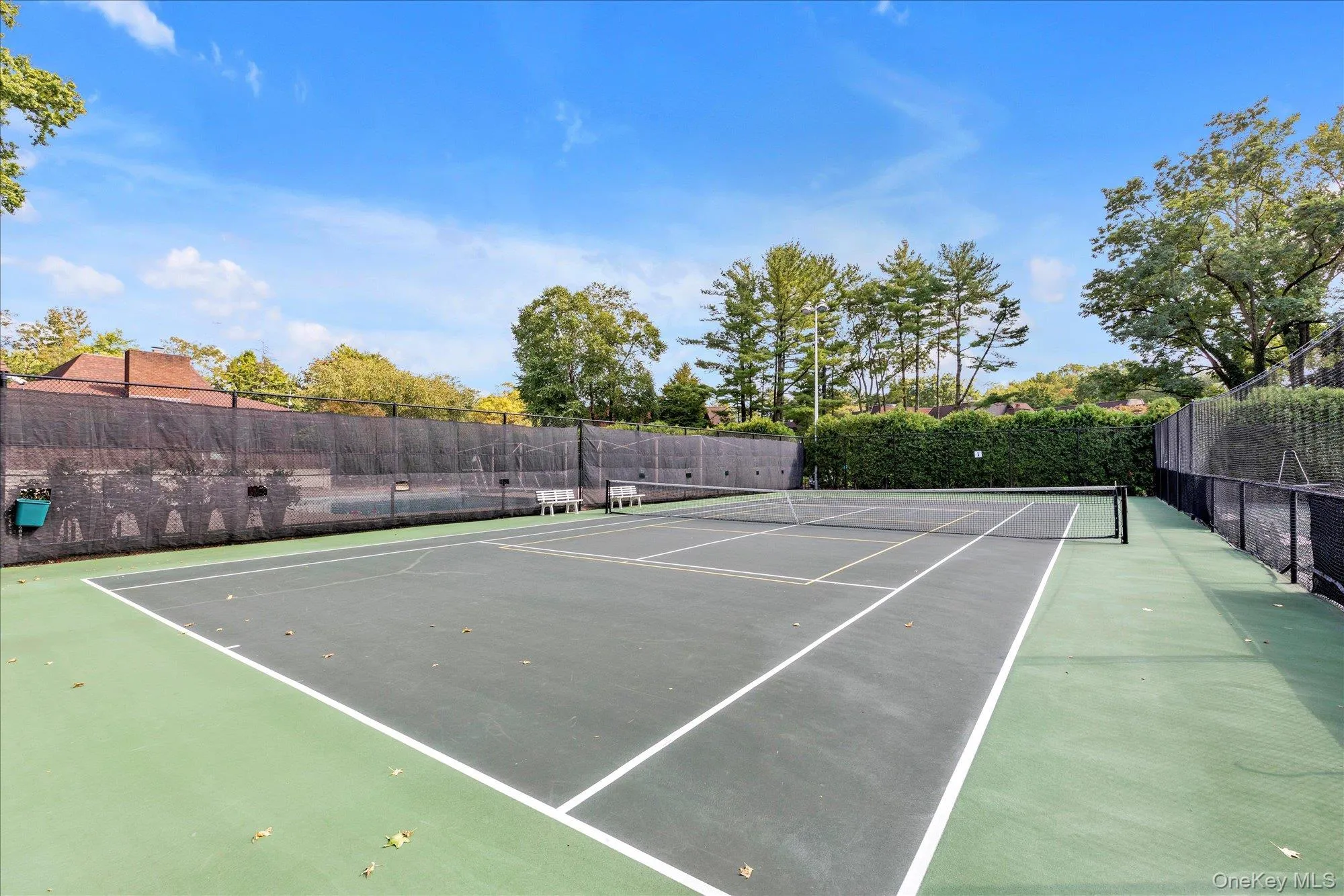 Tennis/Pickleball Court Tennis/Pickleball Court