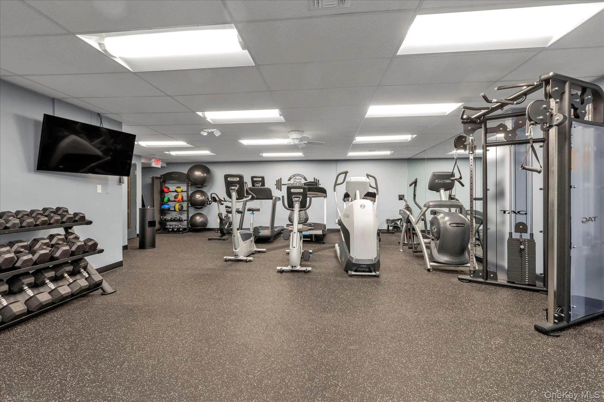 Gym Gym