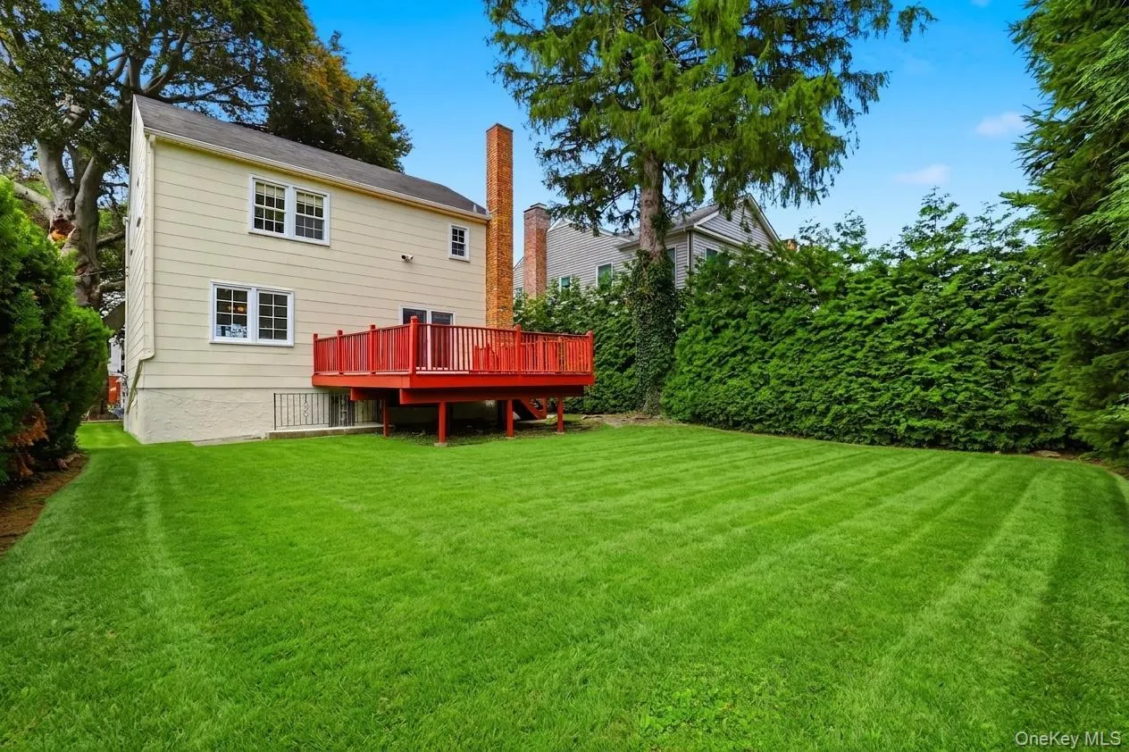 Expansive green lawn with a red-painted wood deck and privacy hedging Expansive green lawn with a red-painted wood deck and privacy hedging