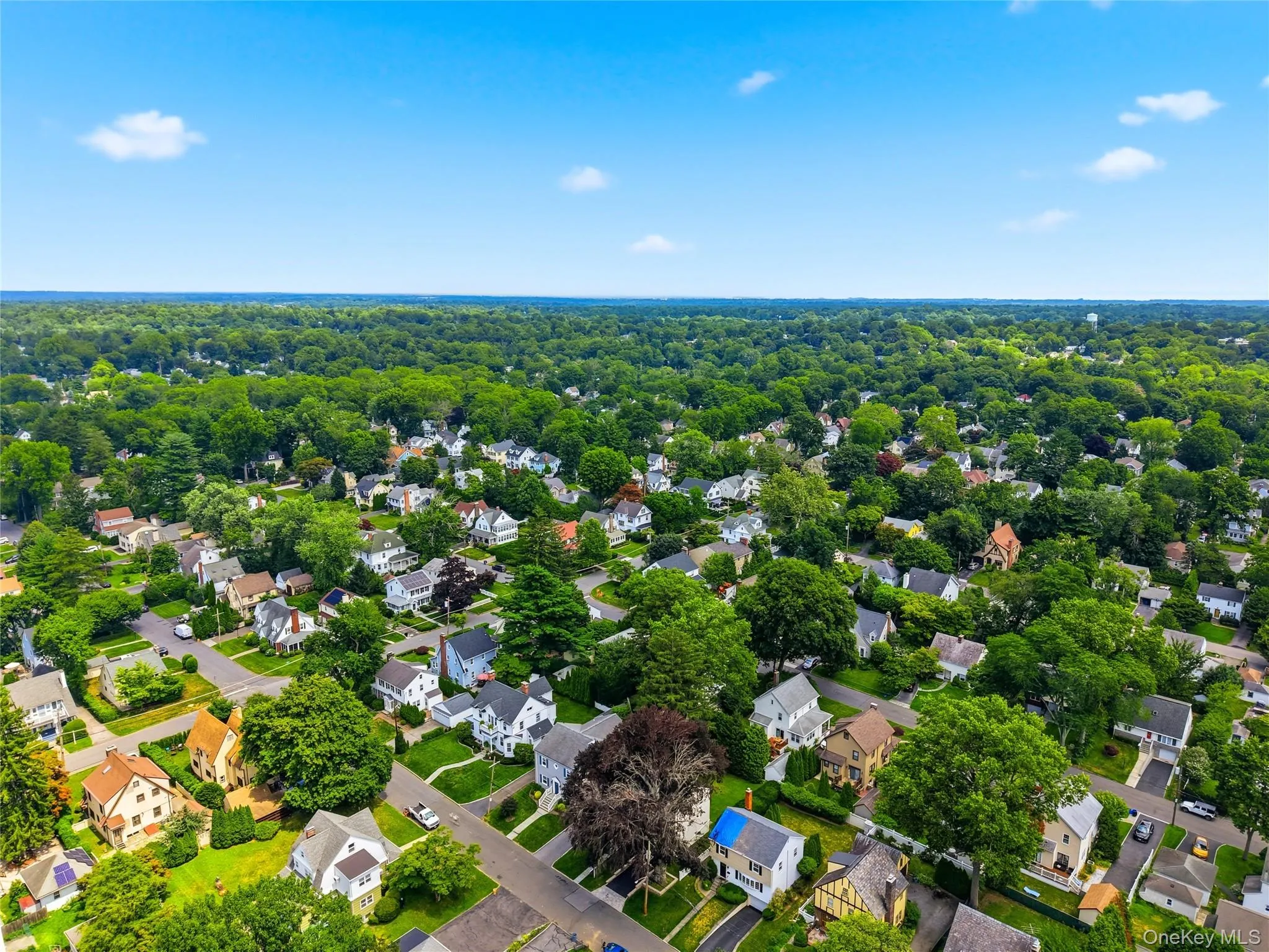 Expansive aerial perspective showcasing a residential area with a dense tree canopy Expansive aerial perspective showcasing a residential area with a dense tree canopy