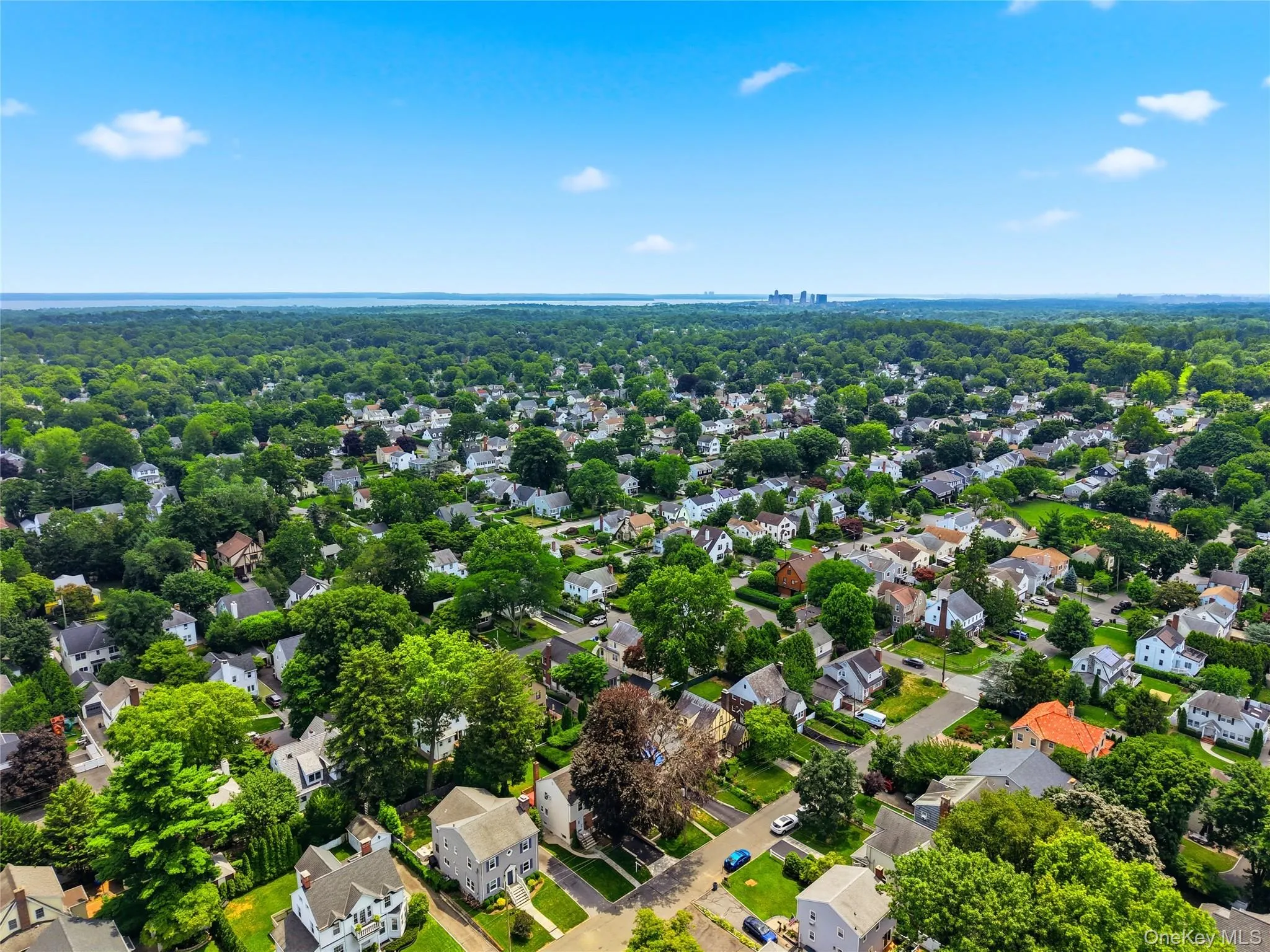 Expansive aerial perspective showcasing a residential neighborhood with mature tree canopies Expansive aerial perspective showcasing a residential neighborhood with mature tree canopies