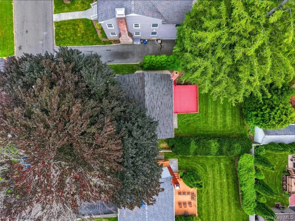 Expansive green lawn featuring mature trees and established perimeter hedges Expansive green lawn featuring mature trees and established perimeter hedges