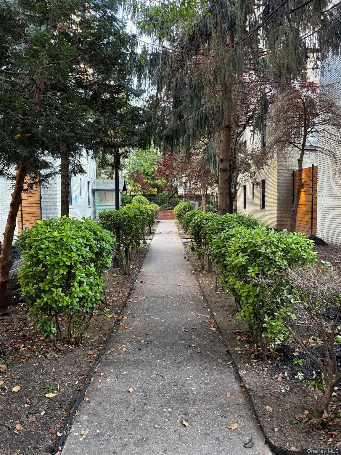 2167 33rd Street, New York, NY, 2 Bedrooms Bedrooms, 5 Rooms Rooms,1 BathroomBathrooms,Residential,For Rent,33rd,0,1026200 2167 33rd Street, New York, NY, 2 Bedrooms Bedrooms, 5 Rooms Rooms,1 BathroomBathrooms,Residential,For Rent,33rd,0,1026200