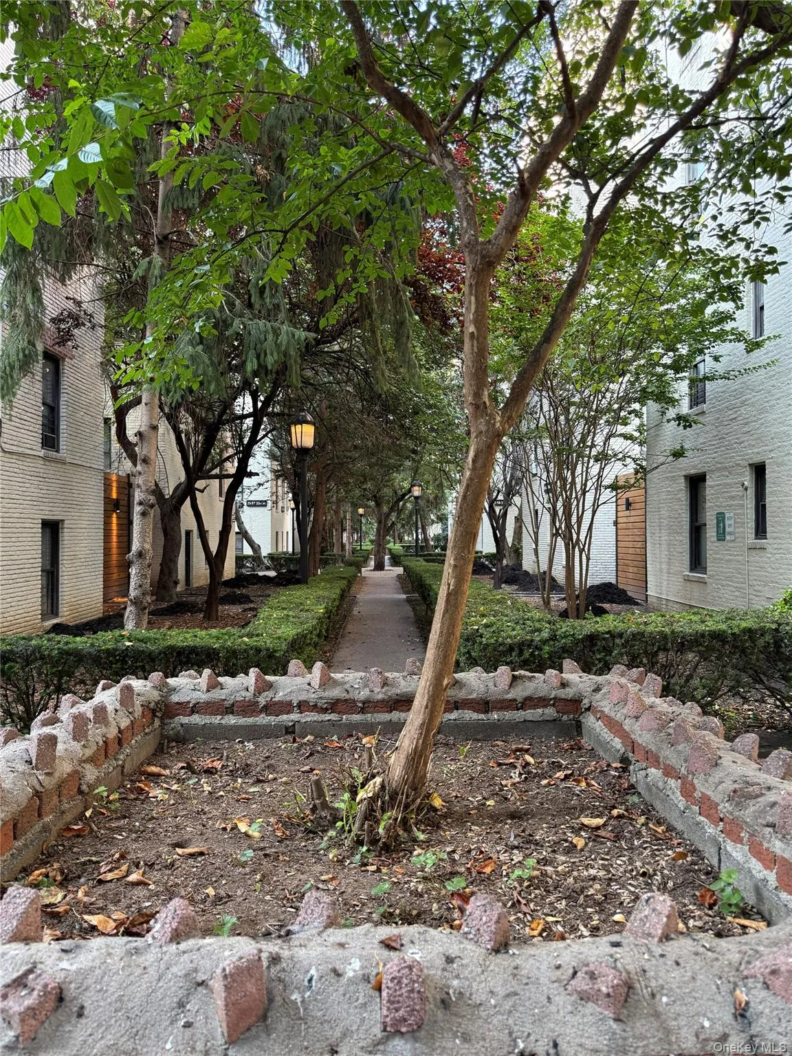 2167 33rd Street, New York, NY, 2 Bedrooms Bedrooms, 5 Rooms Rooms,1 BathroomBathrooms,Residential,For Rent,33rd,0,1026200 2167 33rd Street, New York, NY, 2 Bedrooms Bedrooms, 5 Rooms Rooms,1 BathroomBathrooms,Residential,For Rent,33rd,0,1026200