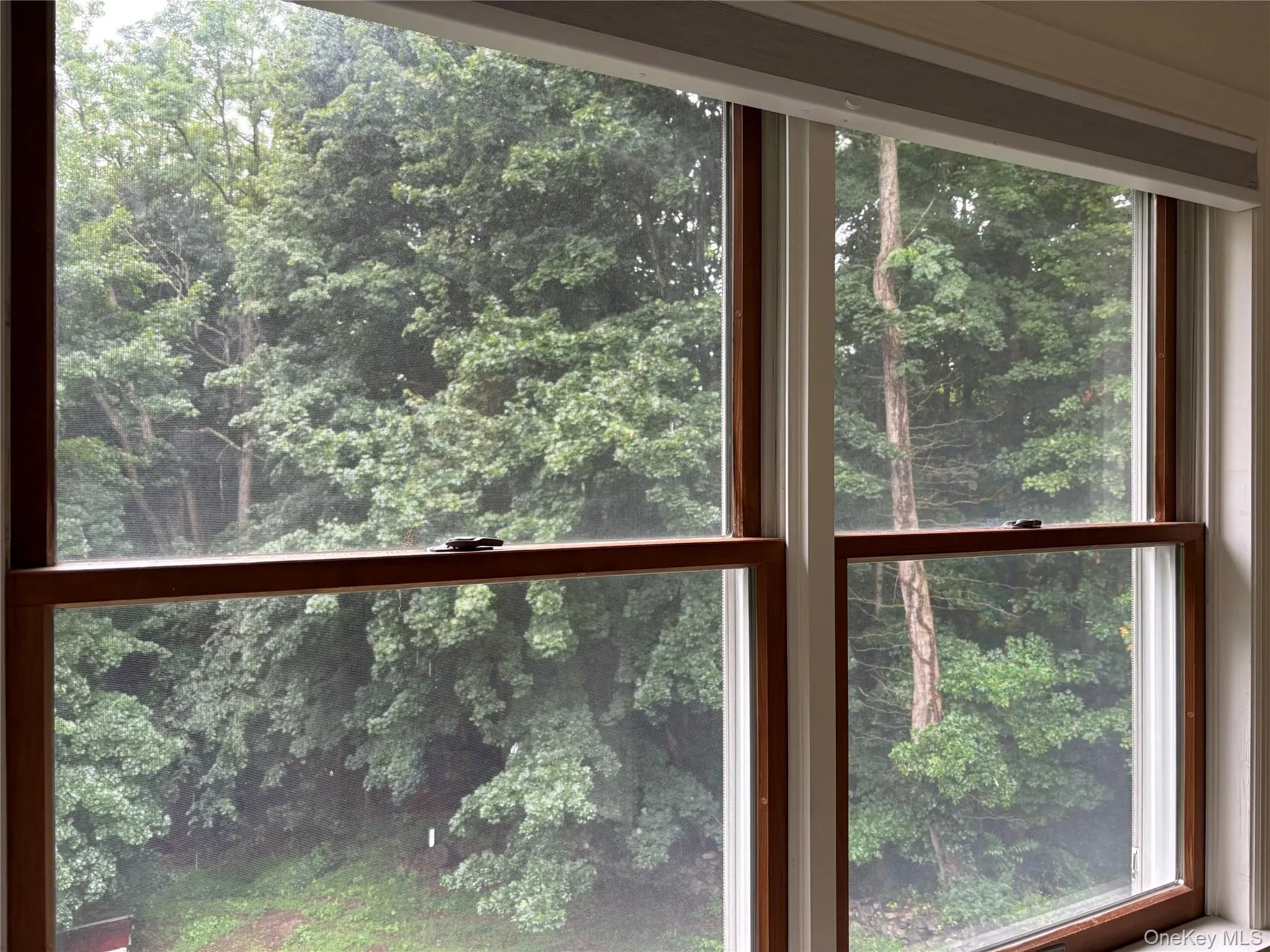 Beautiful view of the woods outside bedroom window Beautiful view of the woods outside bedroom window