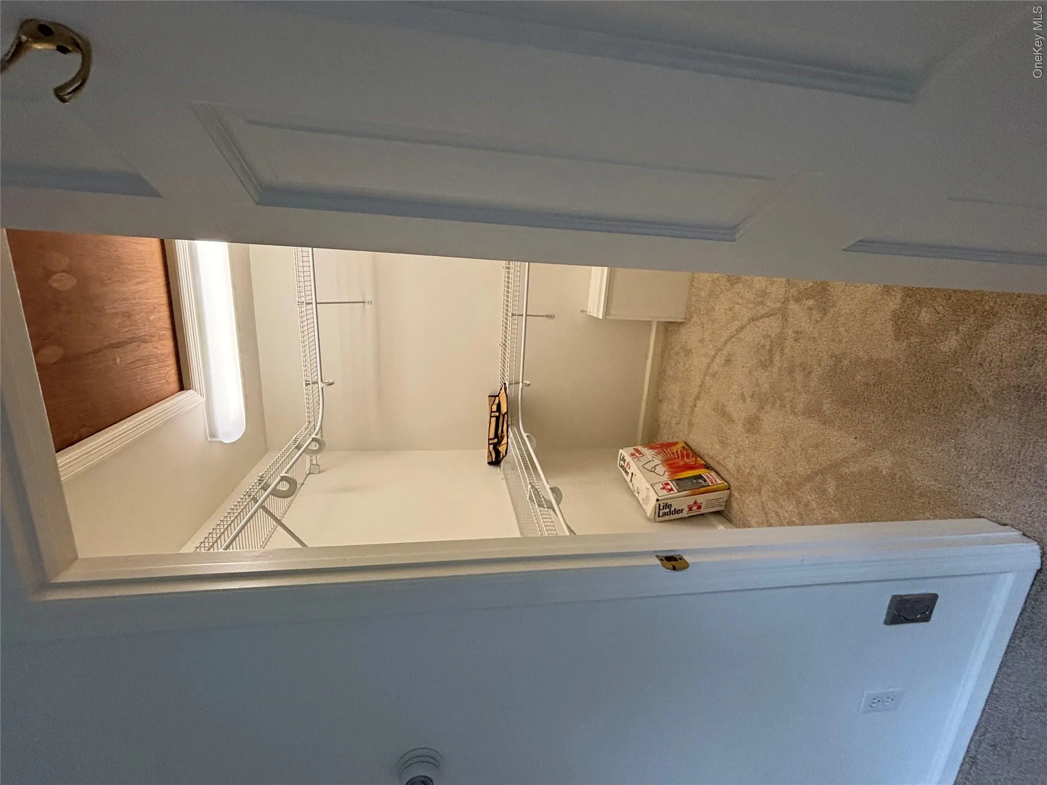 Walk-in closet featuring carpet flooring, white wire shelving, built-in storage cubby, and ceiling-mounted lighting Walk-in closet featuring carpet flooring, white wire shelving, built-in storage cubby, and ceiling-mounted lighting