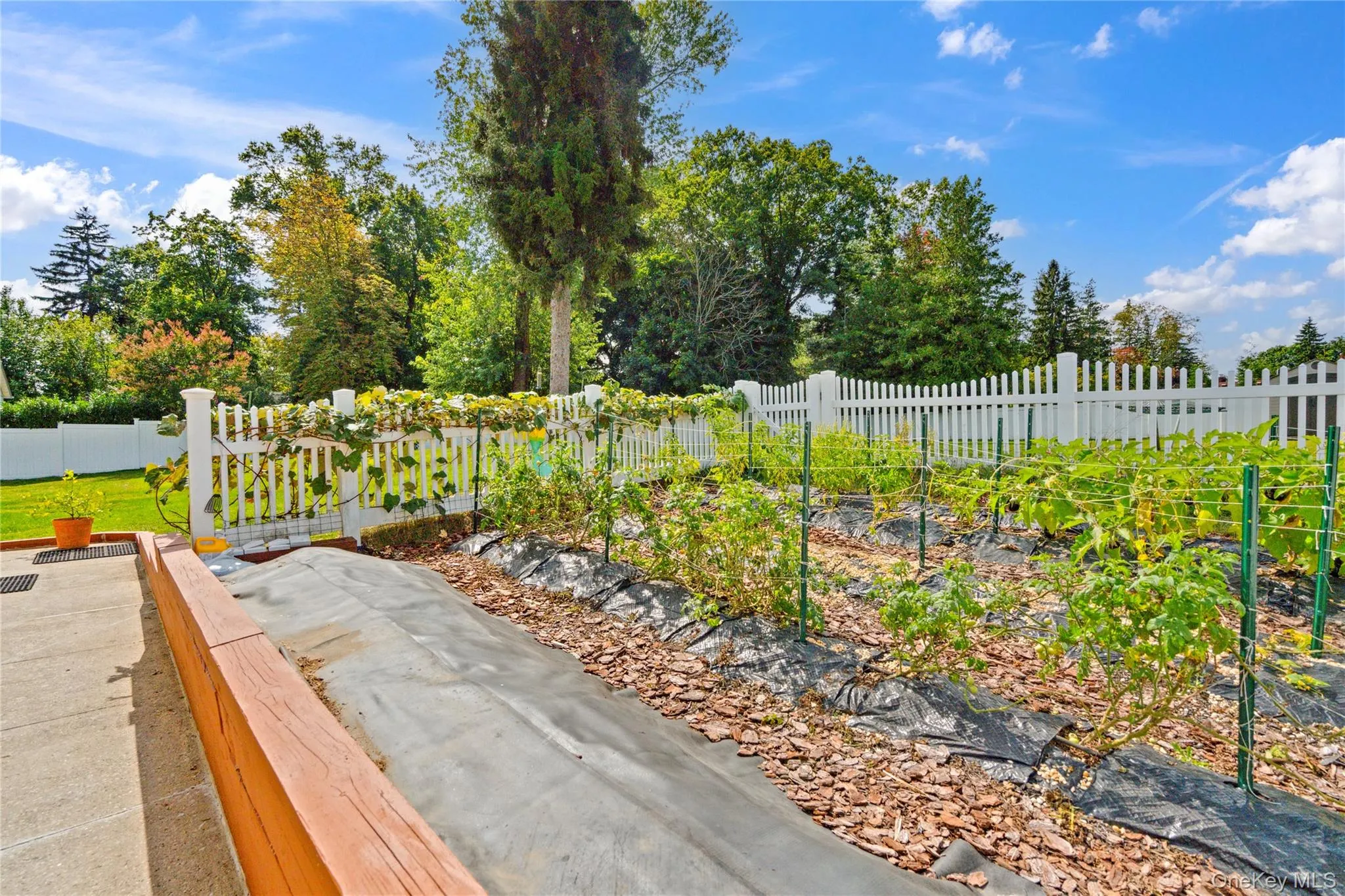 23 Wildwood Lane, Oyster Bay, NY, 5 Bedrooms Bedrooms, 11 Rooms Rooms,4 BathroomsBathrooms,Residential,For Rent,Wildwood,0,1026272 23 Wildwood Lane, Oyster Bay, NY, 5 Bedrooms Bedrooms, 11 Rooms Rooms,4 BathroomsBathrooms,Residential,For Rent,Wildwood,0,1026272