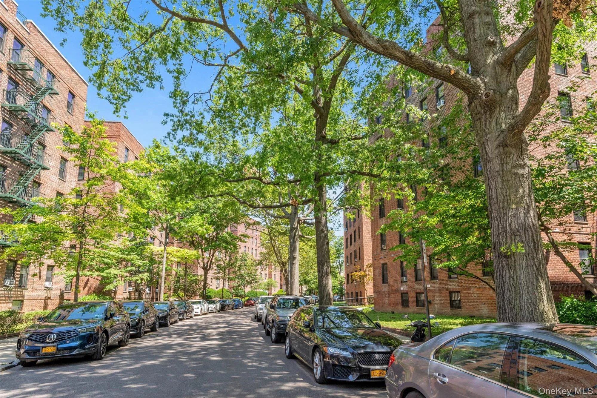 140-18 Burden Crescent, New York, NY, 1 Bedroom Bedrooms, 4 Rooms Rooms,1 BathroomBathrooms,Residential,For Rent,Burden,0,1026276 140-18 Burden Crescent, New York, NY, 1 Bedroom Bedrooms, 4 Rooms Rooms,1 BathroomBathrooms,Residential,For Rent,Burden,0,1026276