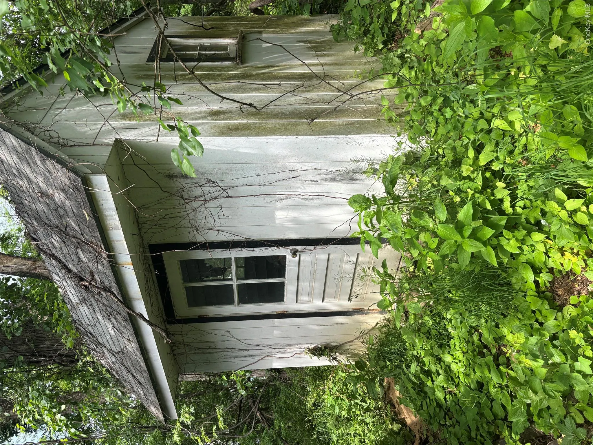 Shed in rear of home Shed in rear of home