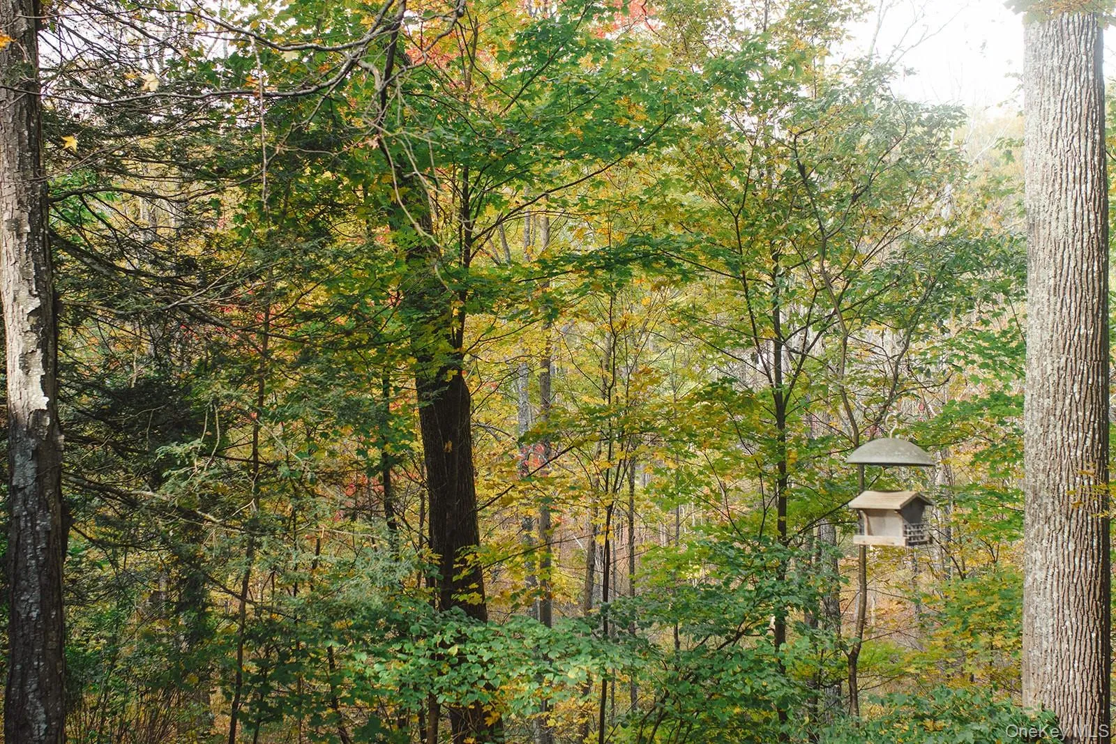 2 Eagle Trail, Mamakating, NY, 2 Bedrooms Bedrooms, 5 Rooms Rooms,1 BathroomBathrooms,Residential Lease,For Rent,Eagle,0,1026289 2 Eagle Trail, Mamakating, NY, 2 Bedrooms Bedrooms, 5 Rooms Rooms,1 BathroomBathrooms,Residential Lease,For Rent,Eagle,0,1026289