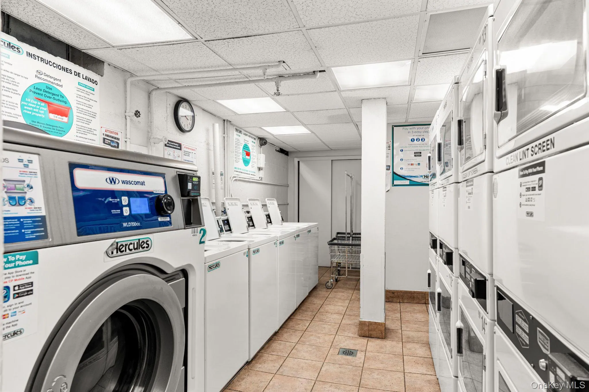 Laundry Laundry