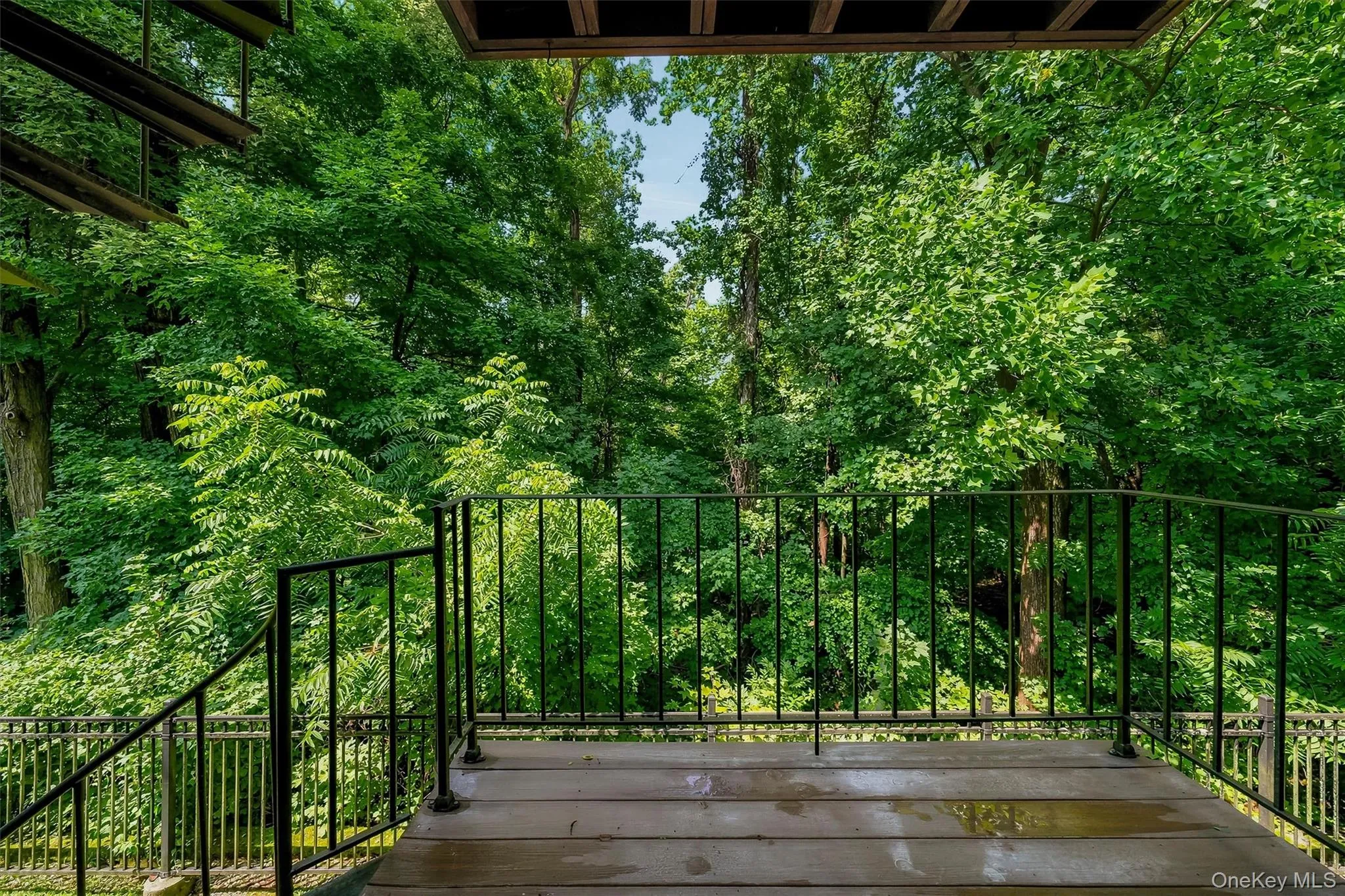 Expansive composite deck with sturdy black metal railings and balusters, overlooking mature hardwood forest Expansive composite deck with sturdy black metal railings and balusters, overlooking mature hardwood forest
