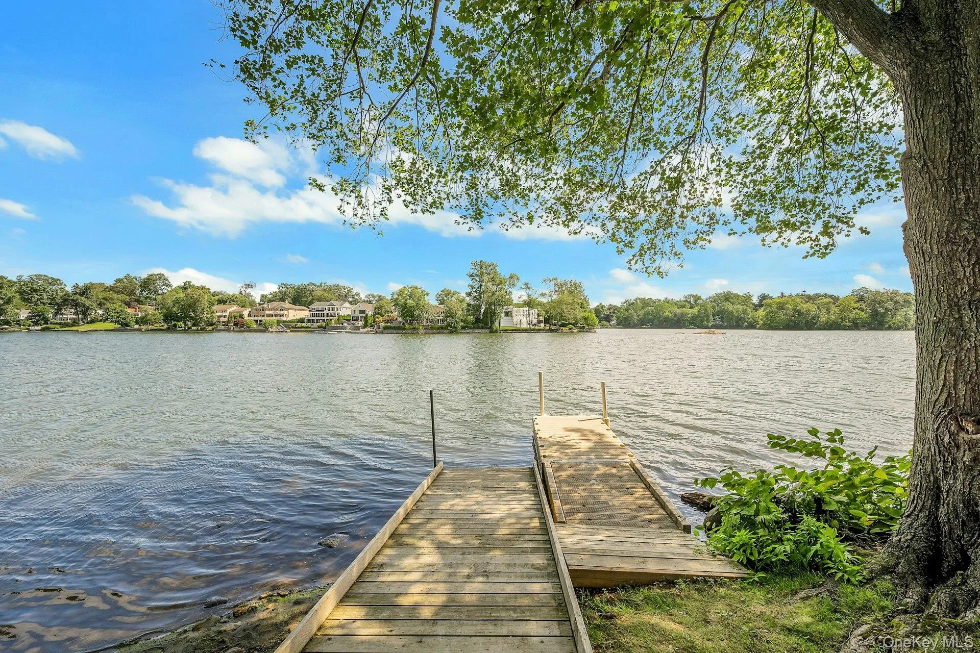 62 Manchester Road, Eastchester, NY, 1 Bedroom Bedrooms, 4 Rooms Rooms,1 BathroomBathrooms,Residential,For Rent,Manchester,0,1026356 62 Manchester Road, Eastchester, NY, 1 Bedroom Bedrooms, 4 Rooms Rooms,1 BathroomBathrooms,Residential,For Rent,Manchester,0,1026356