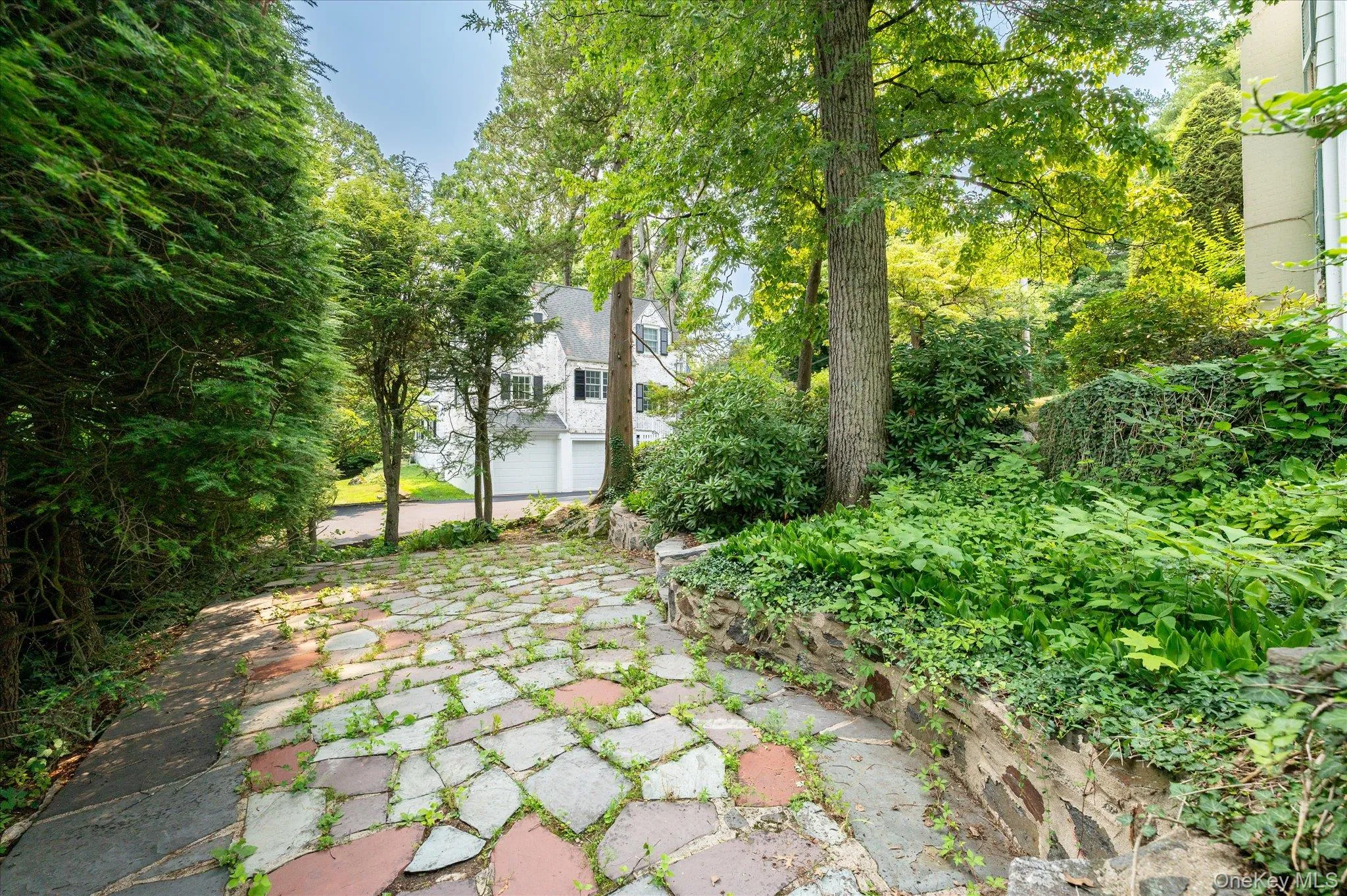21 Braxmar Drive, Harrison, NY, 3 Bedrooms Bedrooms, 8 Rooms Rooms,2 BathroomsBathrooms,Residential,For Rent,Braxmar,0,1026359 21 Braxmar Drive, Harrison, NY, 3 Bedrooms Bedrooms, 8 Rooms Rooms,2 BathroomsBathrooms,Residential,For Rent,Braxmar,0,1026359